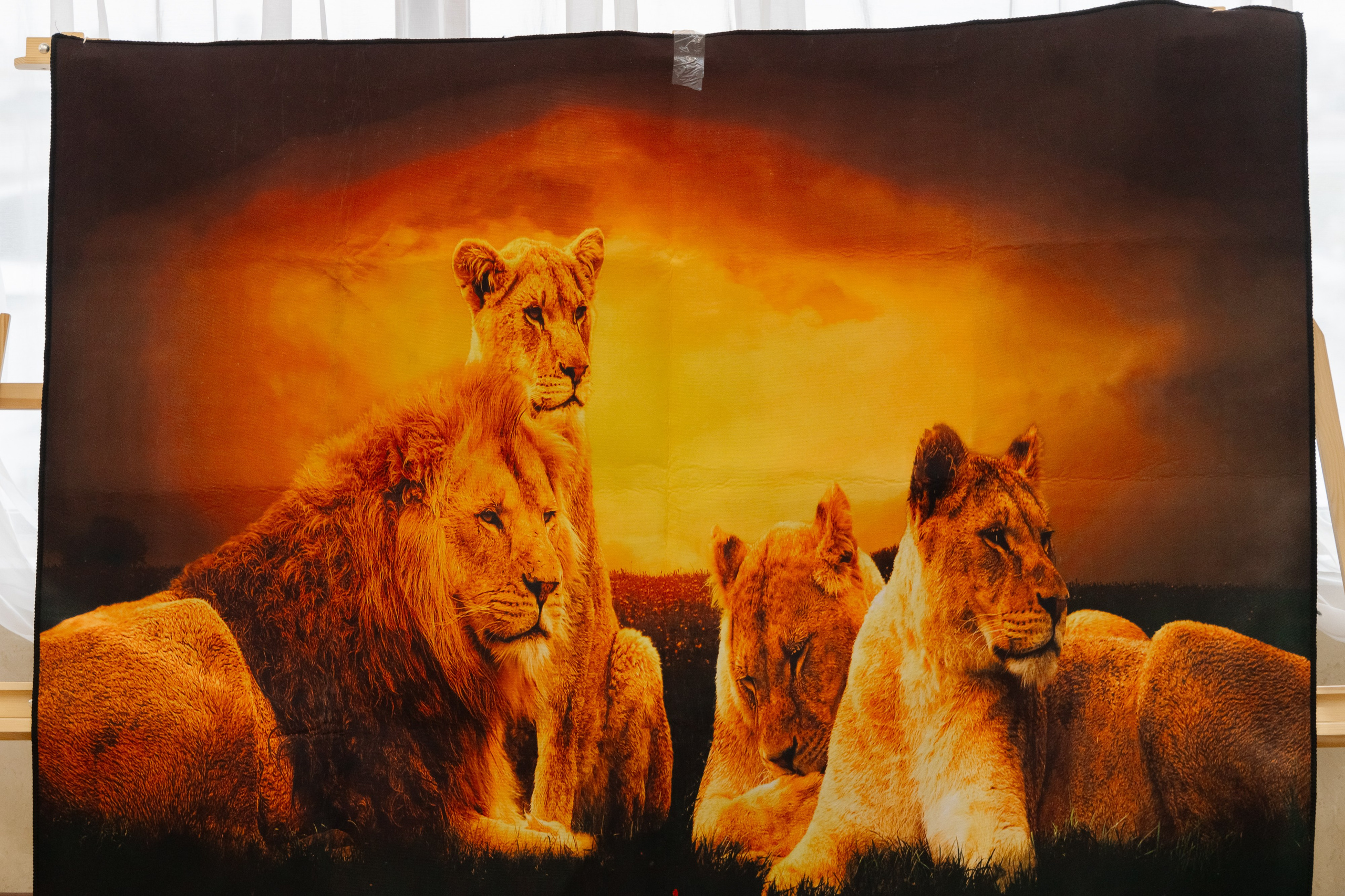 Фотосъемка делегации Посольства Зимбабве в Минске. Свадебный фотограф в Минске/Беларуси Сергей Спиридонов