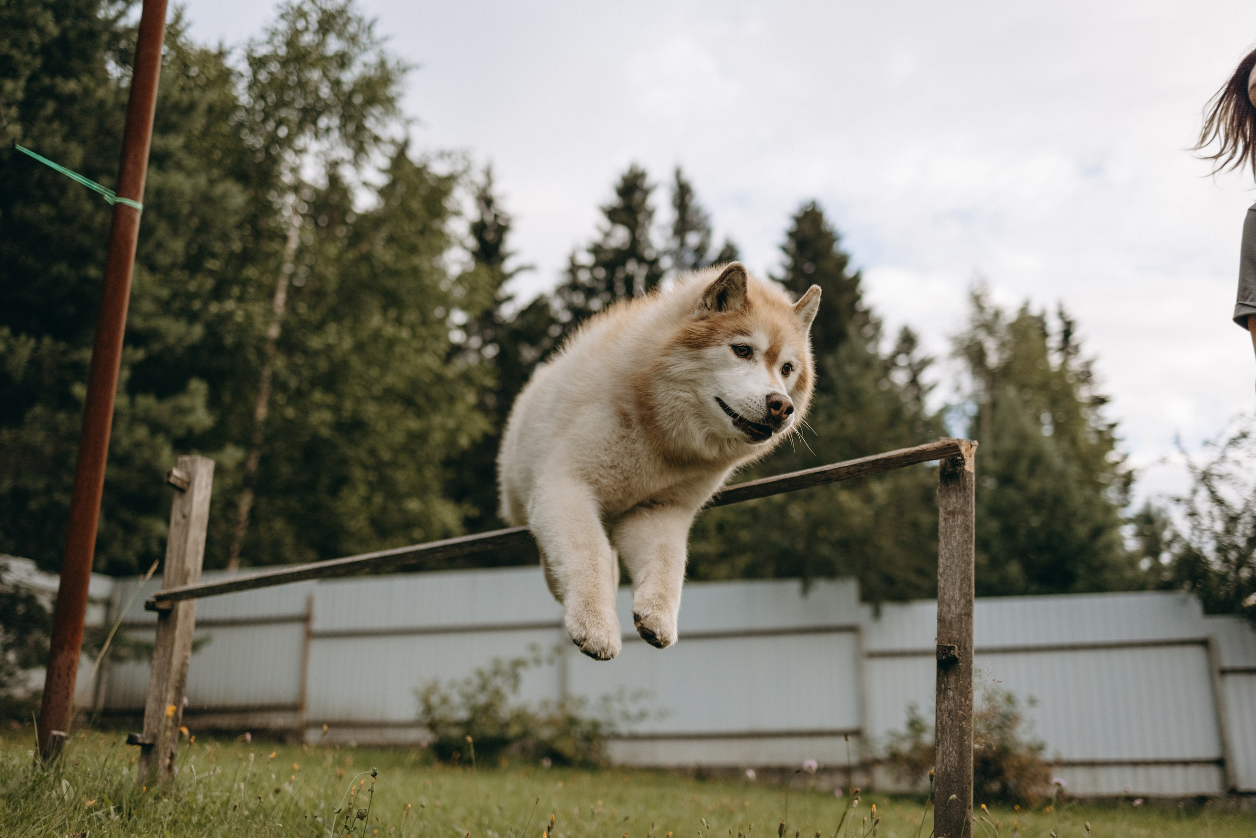 Дом у реки. Фотограф — Анималист | Санкт-Петербург