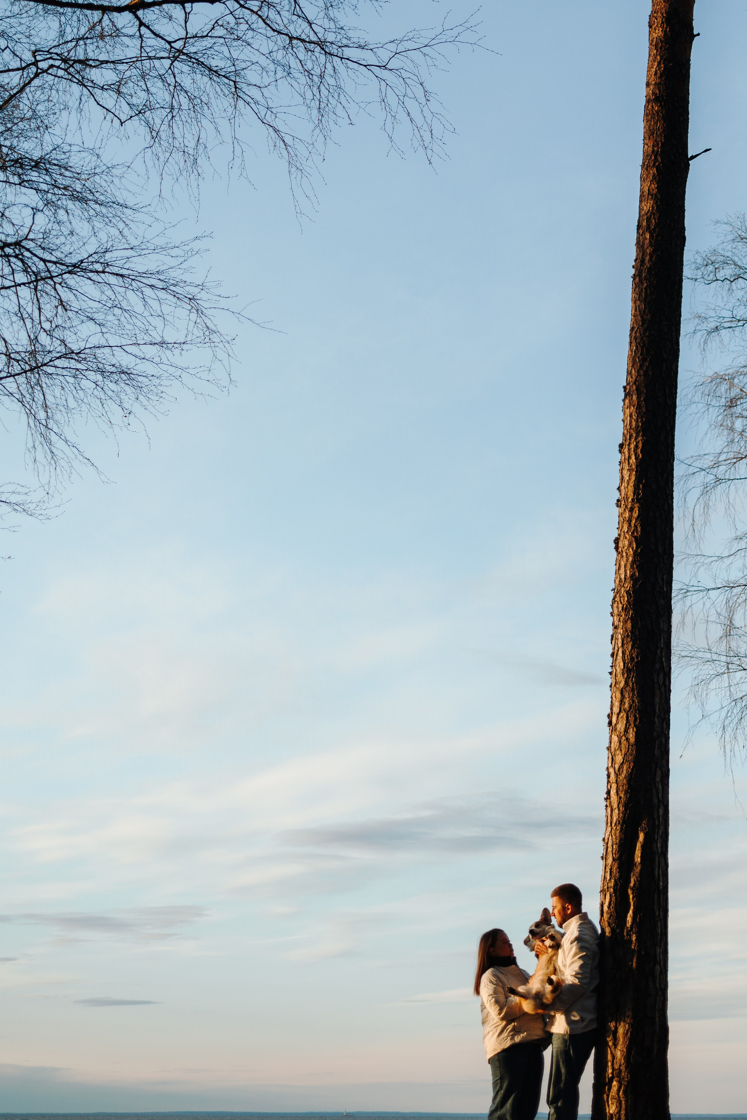 Найт и его семья. Фотограф — Анималист | Санкт-Петербург