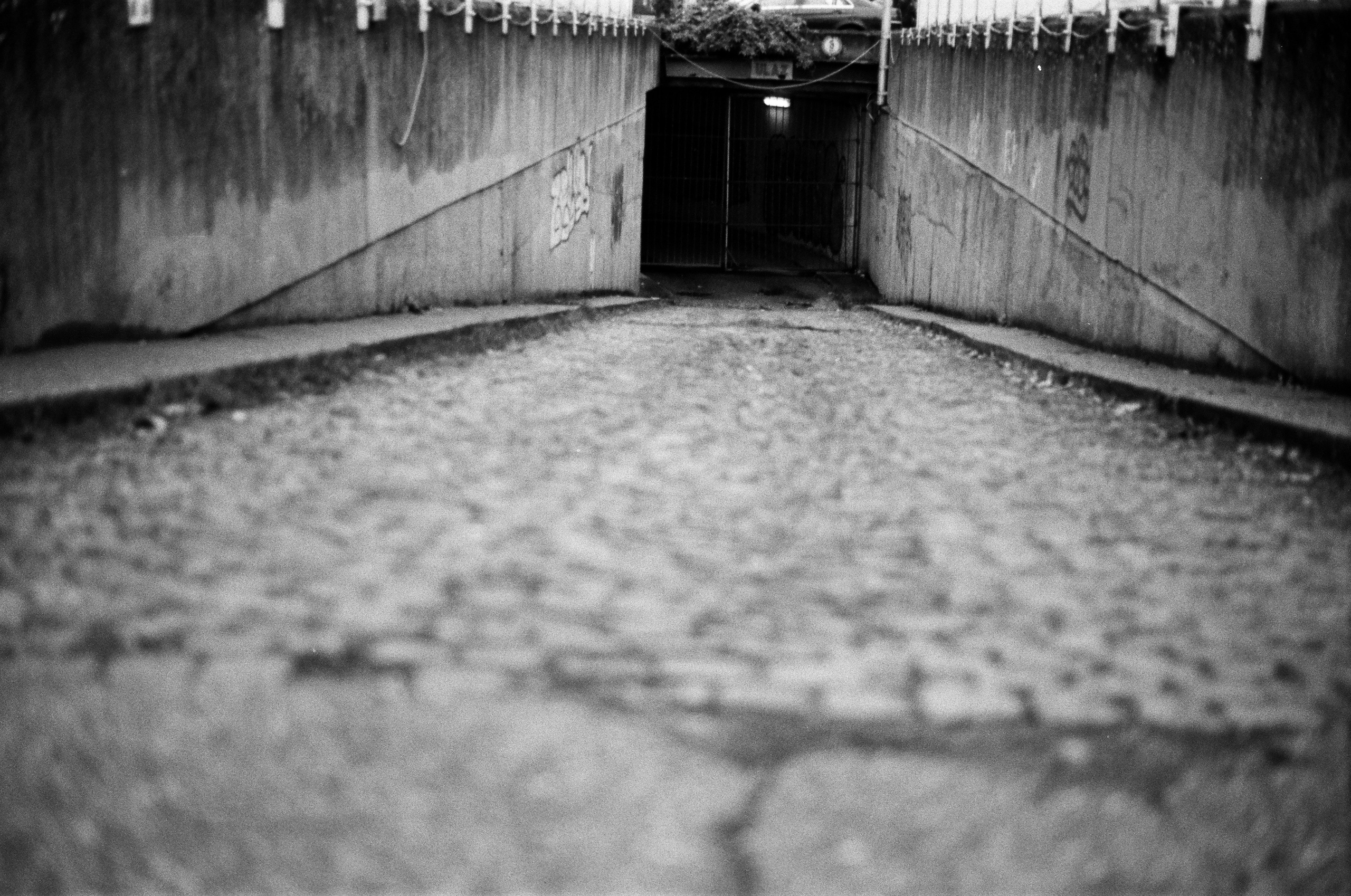 LIFE. Zheltokhov Egor