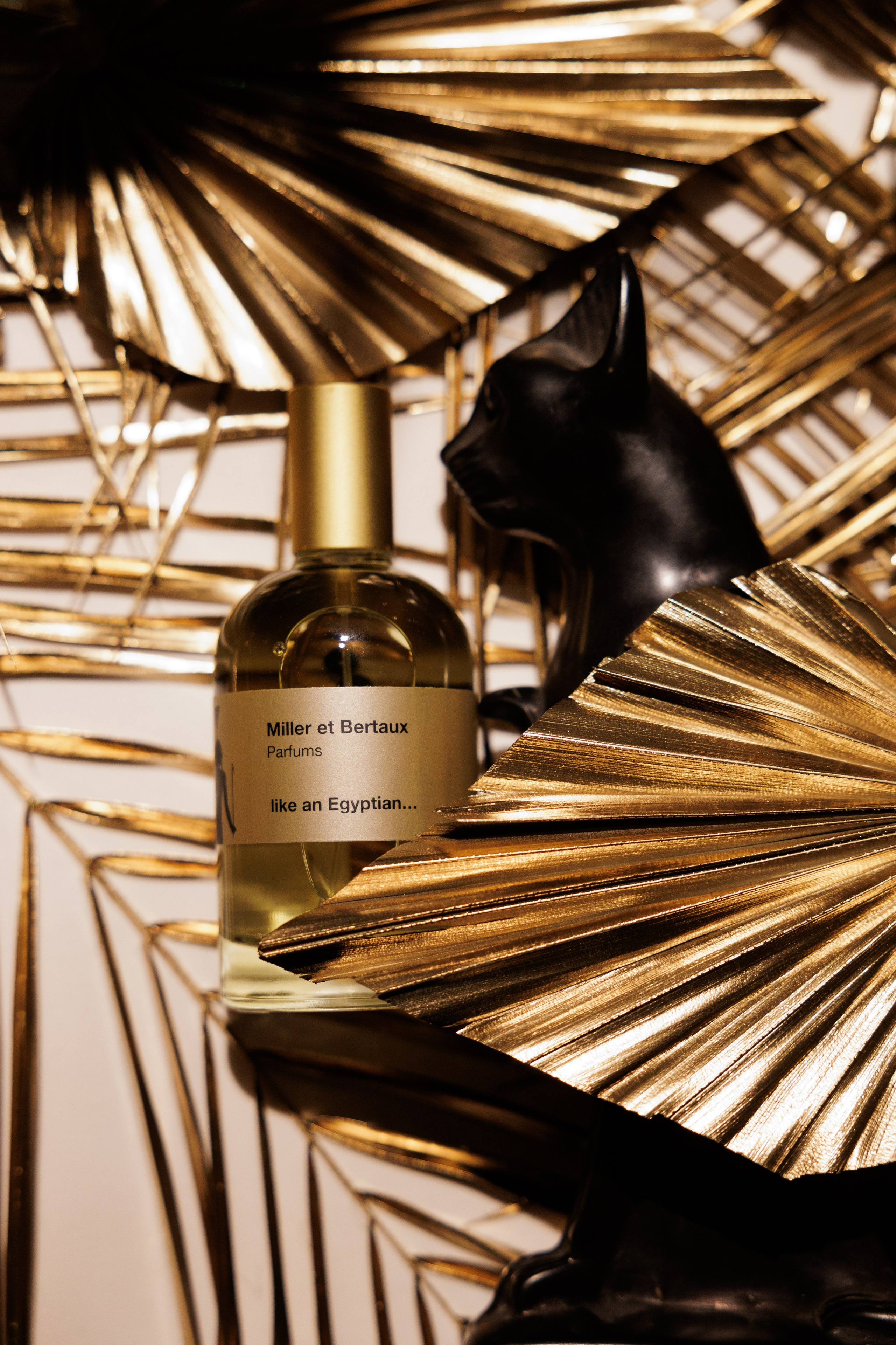 Miller et Bertaux. Светский фотограф — Анисина Ирина