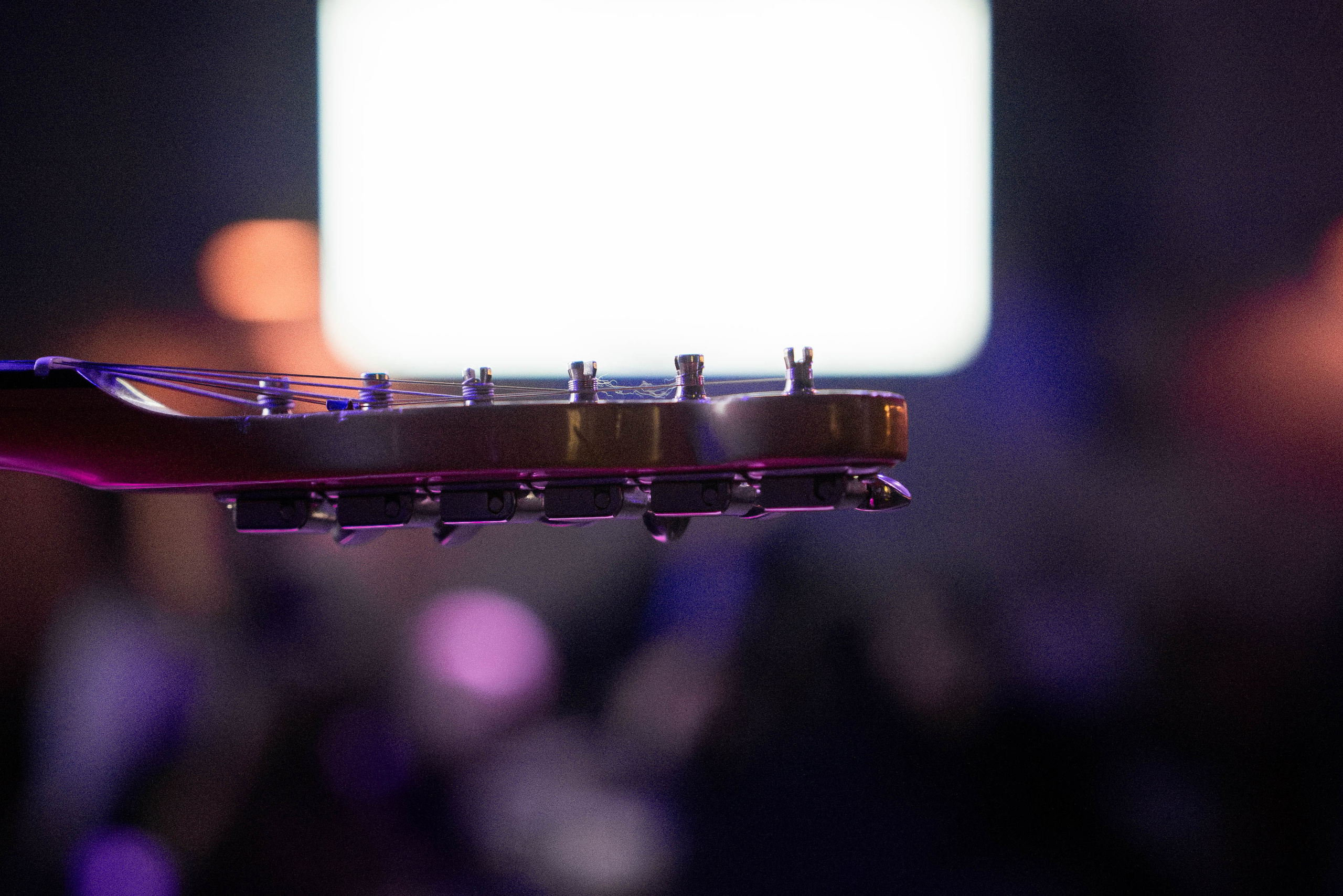 Концерт группы «МУХА». Beardy Pix