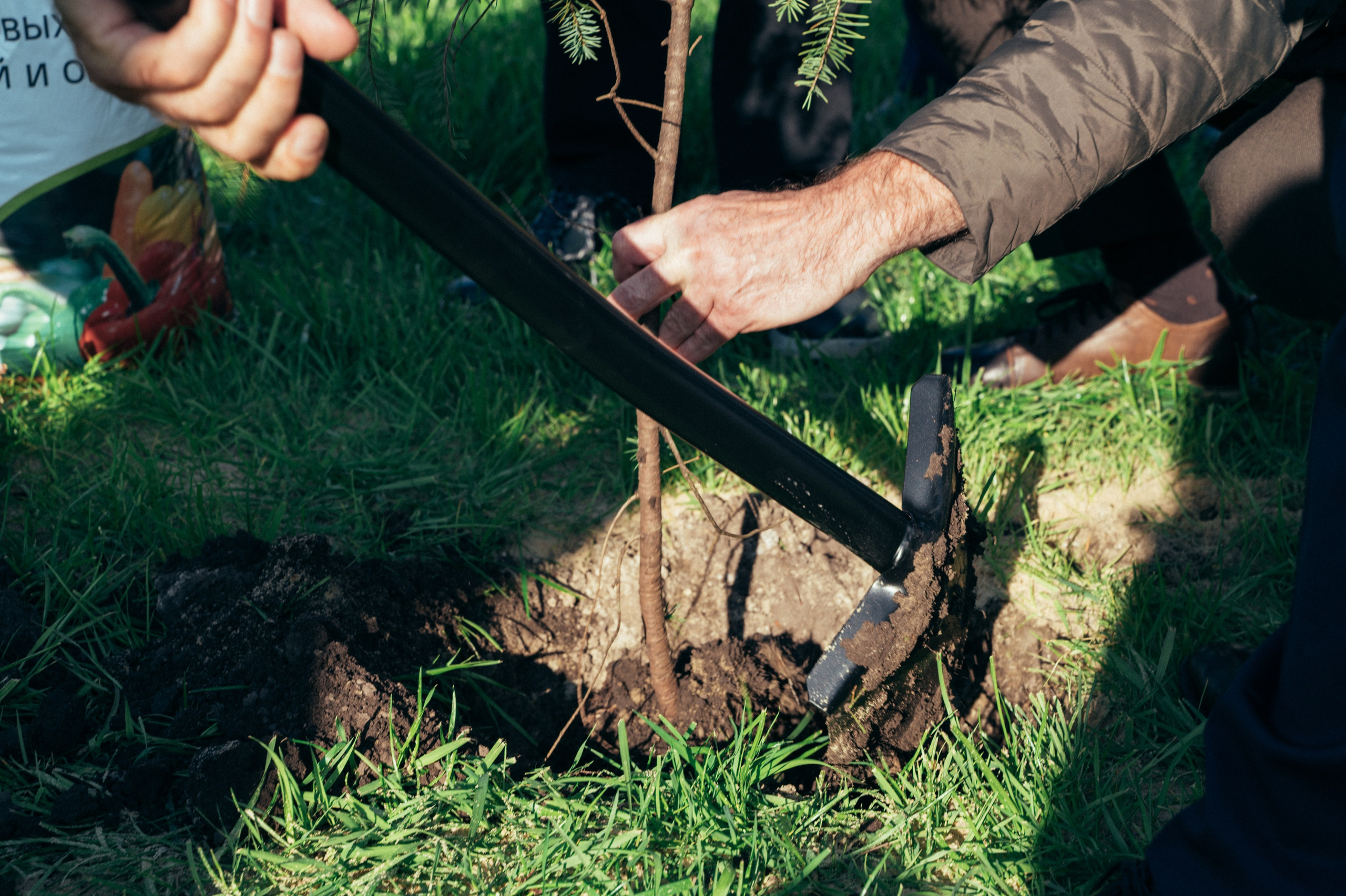 Международная конференция РАН