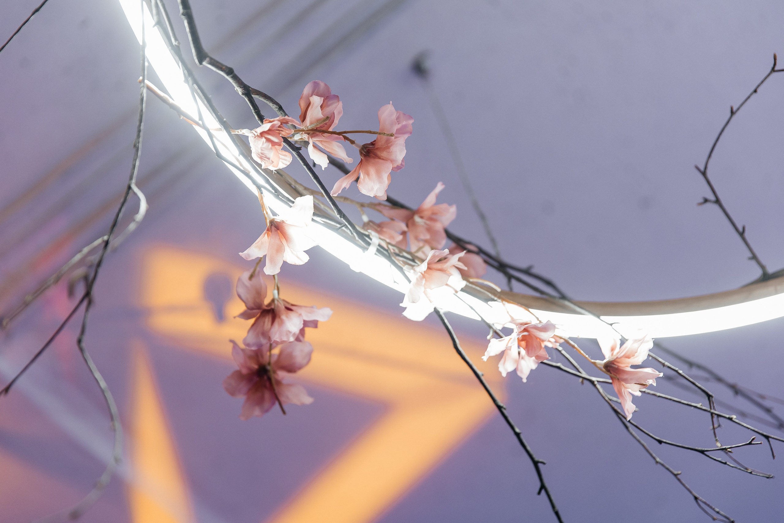 РУСАЛ 65 ЛЕТ. Фотограф в Красноярске