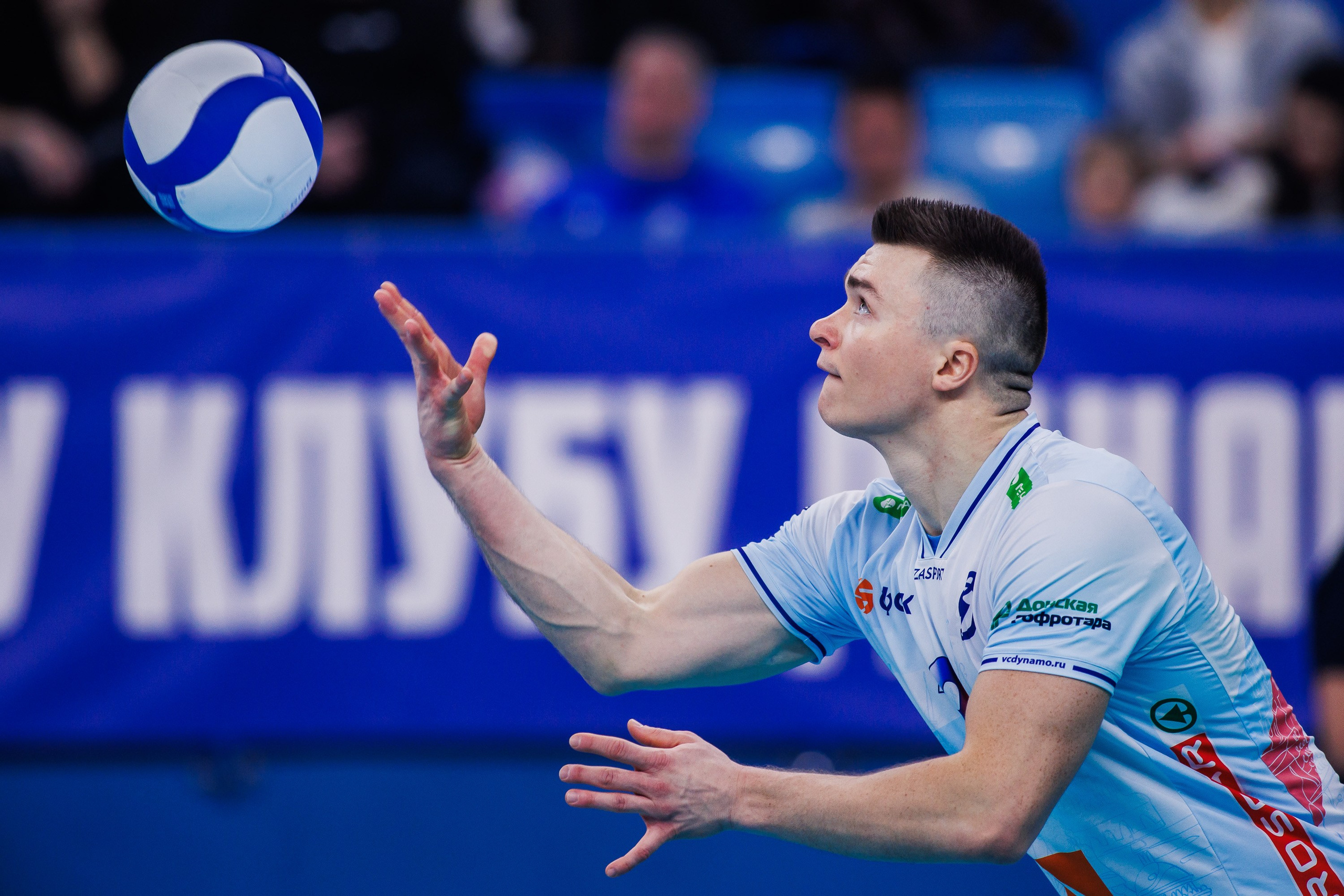 ВК Динамо 2025/26. Photographer Danil Aykin