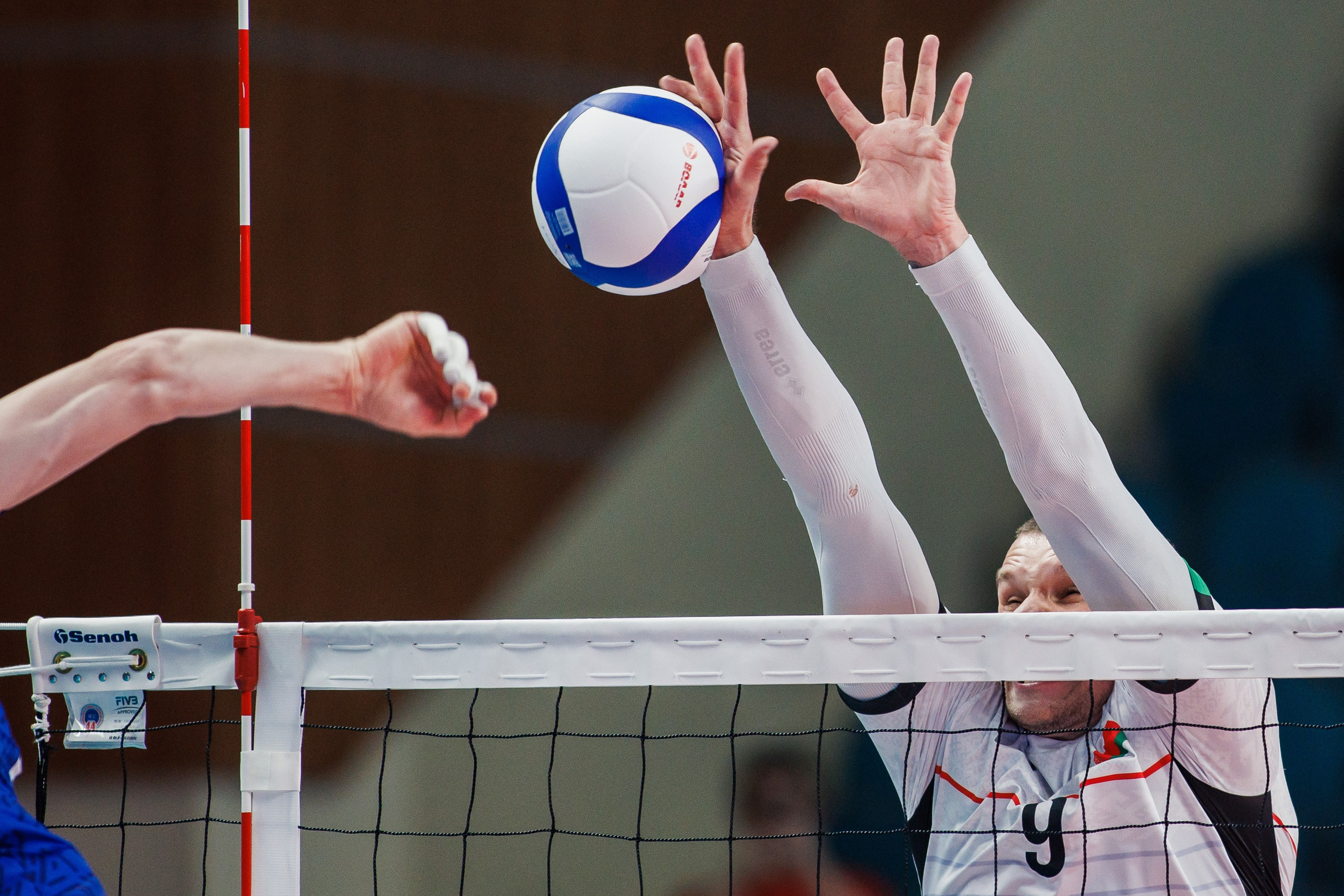 Товарищеские матчи. Волейбол. Россия — Беларусь. Photographer Danil Aykin