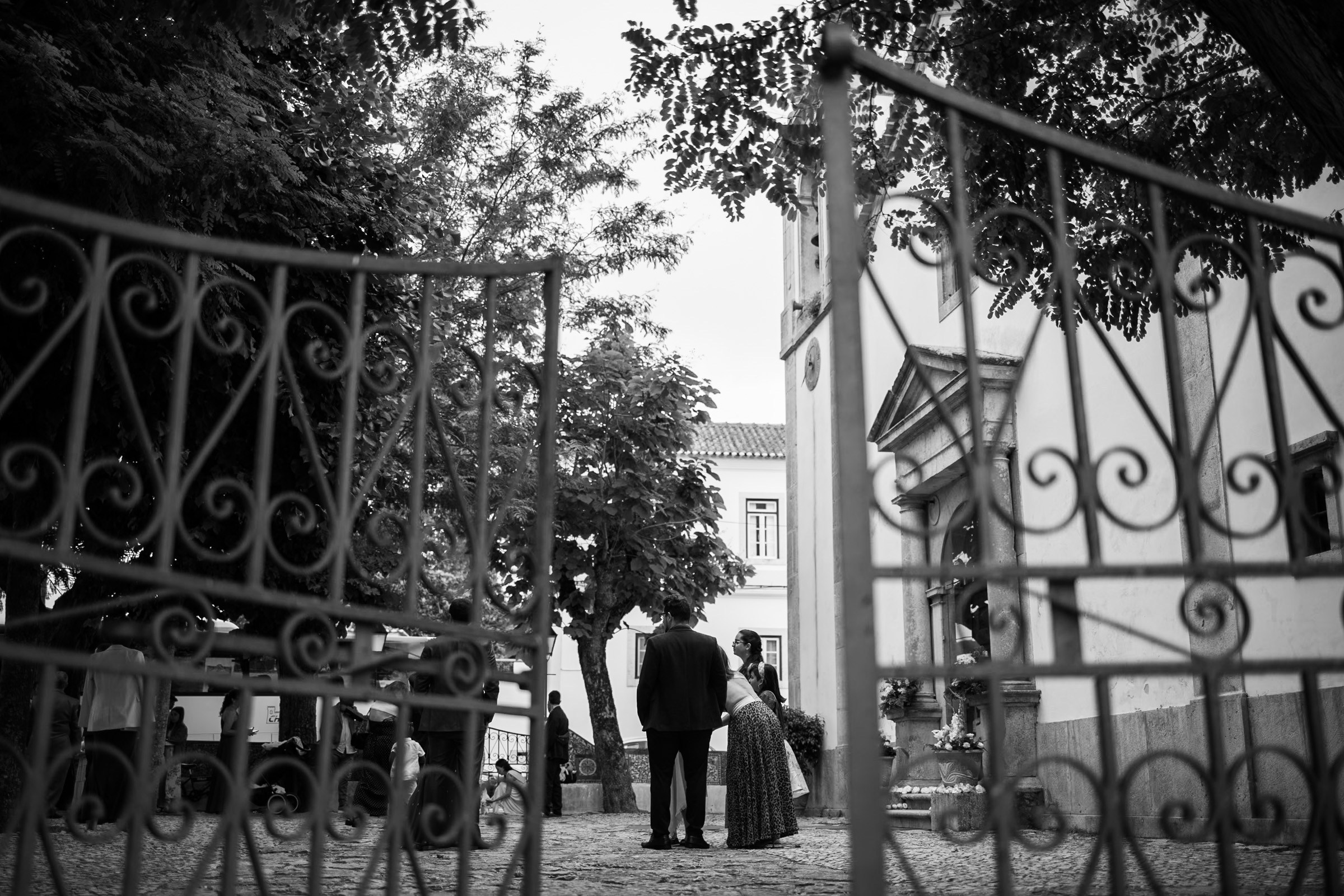 PLANT A TREE. Wedding photographer in Europe