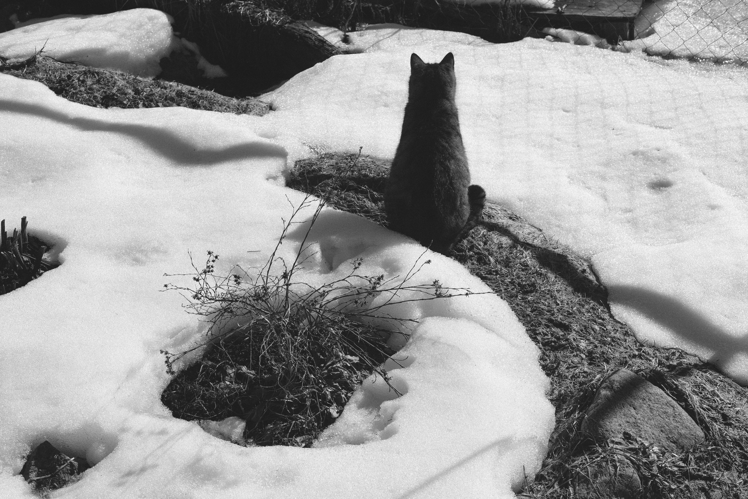 Жизнь сада. Works