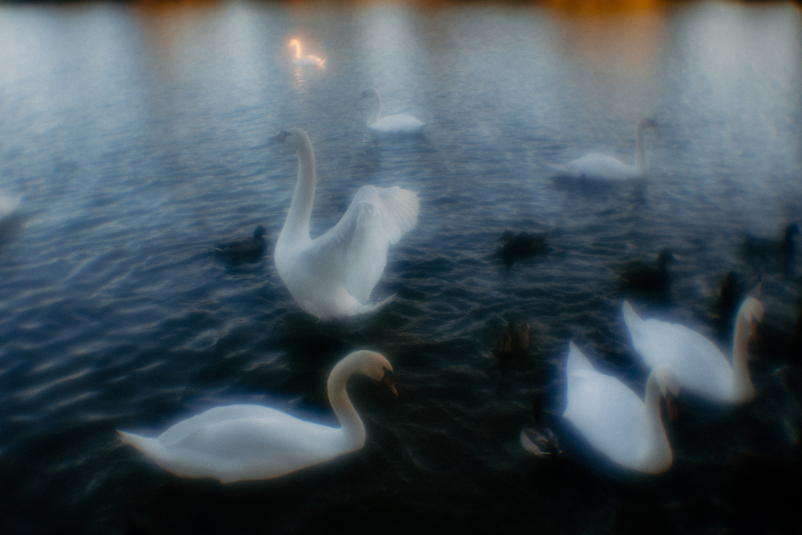 Пикториальный альбом. Семейный LIFESTYLE фотограф в Москве