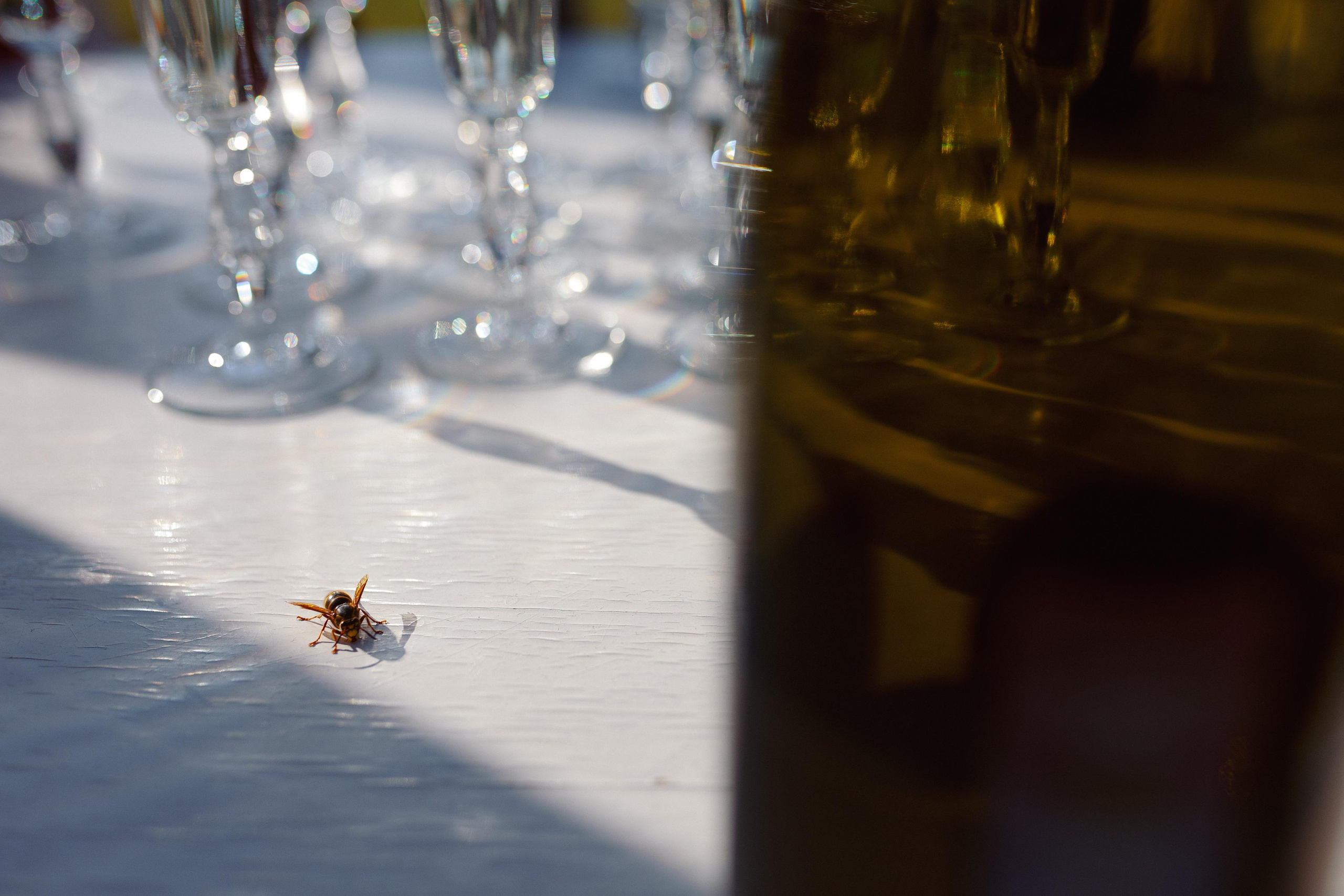 Данил & Ульяна. Свадебный и семейный фотограф в Кирове, Малых Никита