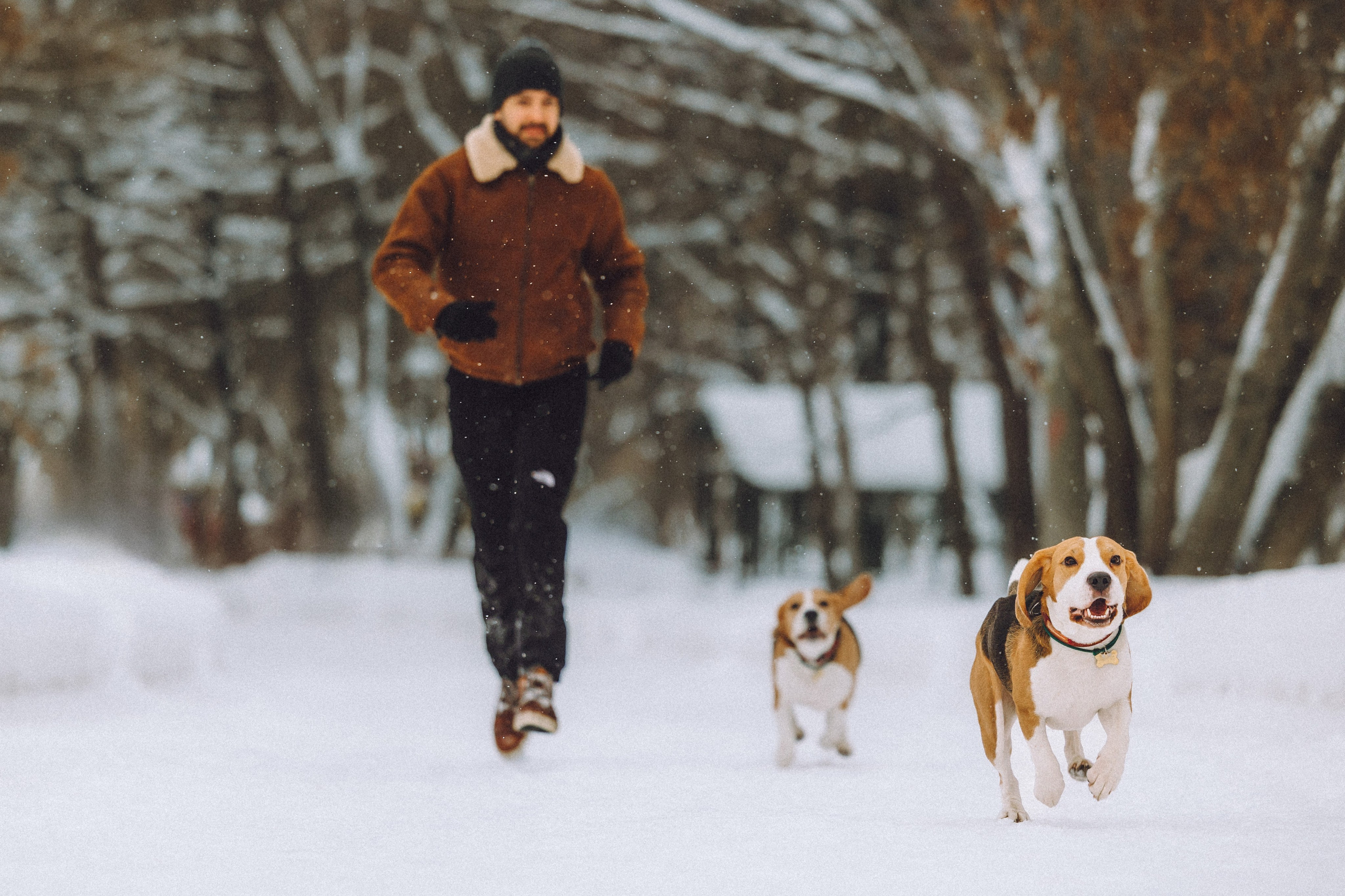 Роман, Портер и Коррес