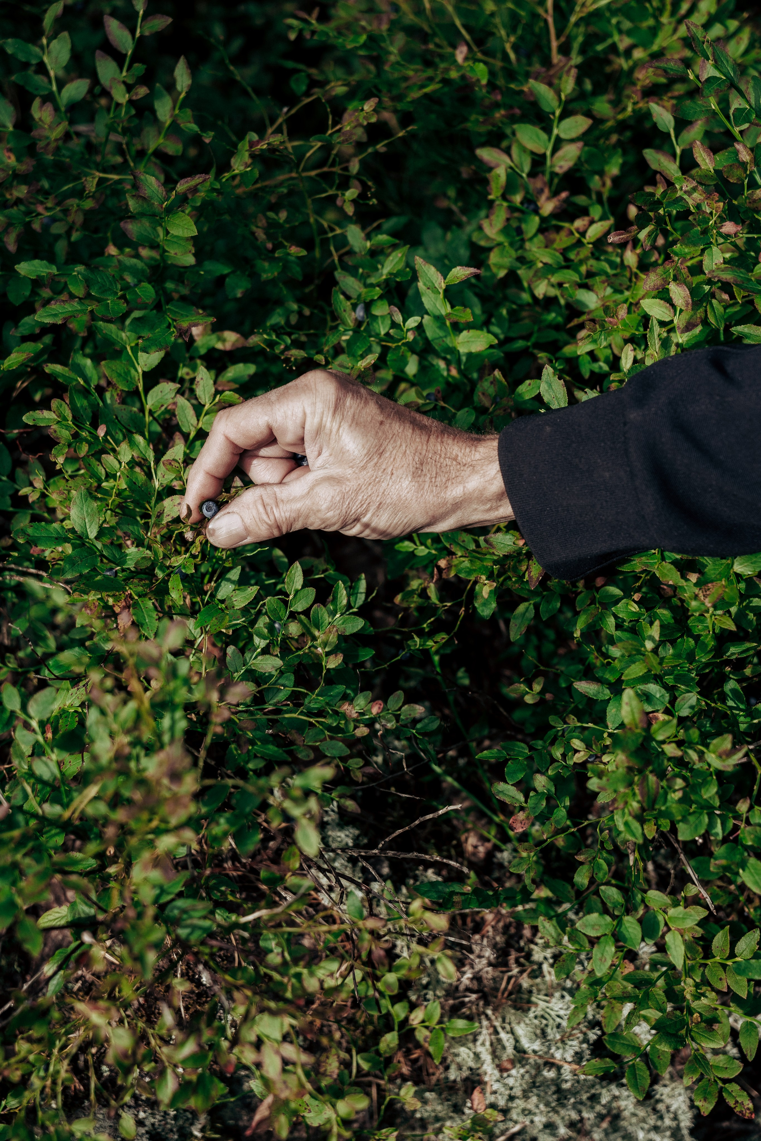 Фотосессия в лесу. Профессиональный фотограф в Санкт-Петербурге Александр Волосенцев