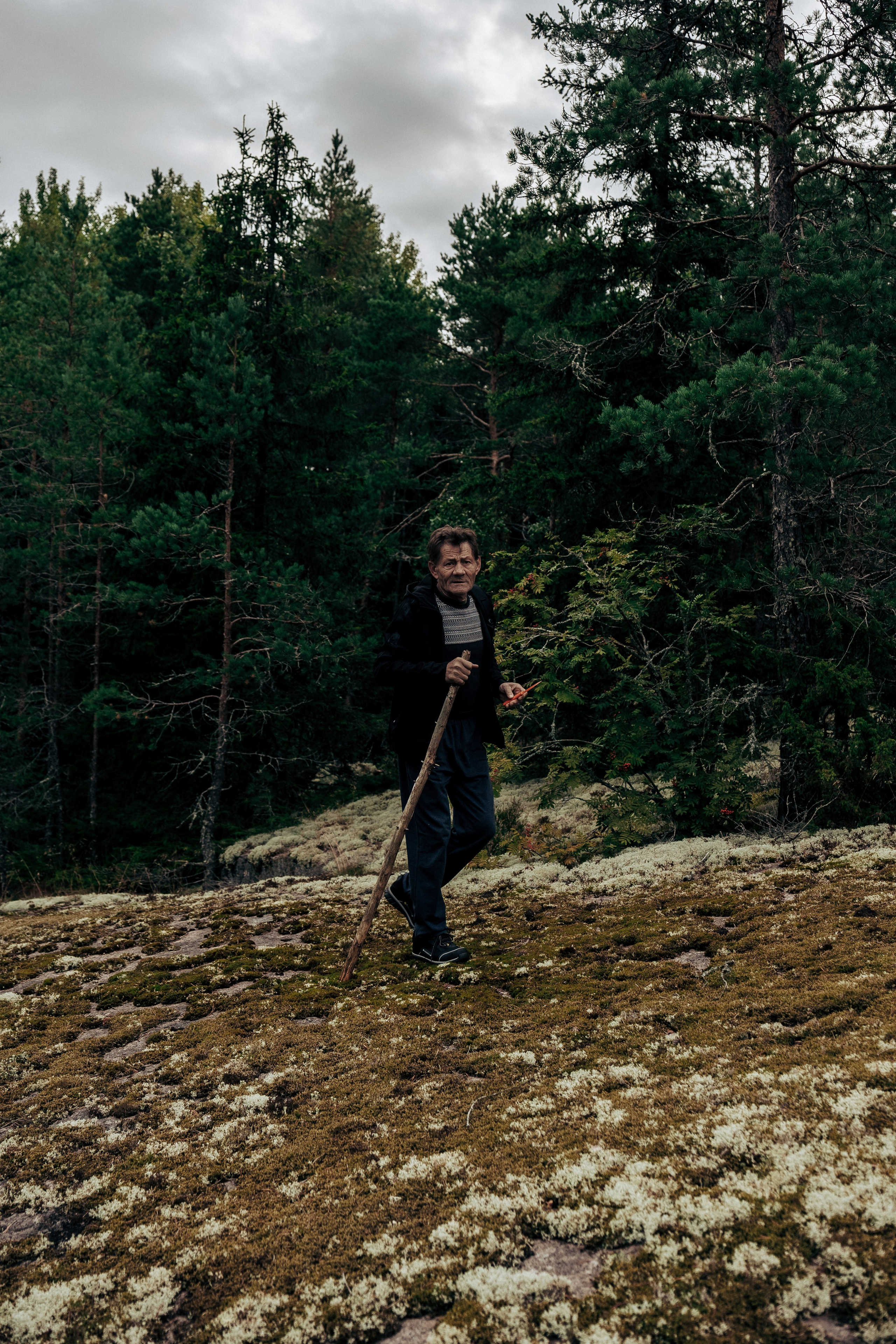 Фотосессия в лесу. Профессиональный фотограф в Санкт-Петербурге Александр Волосенцев