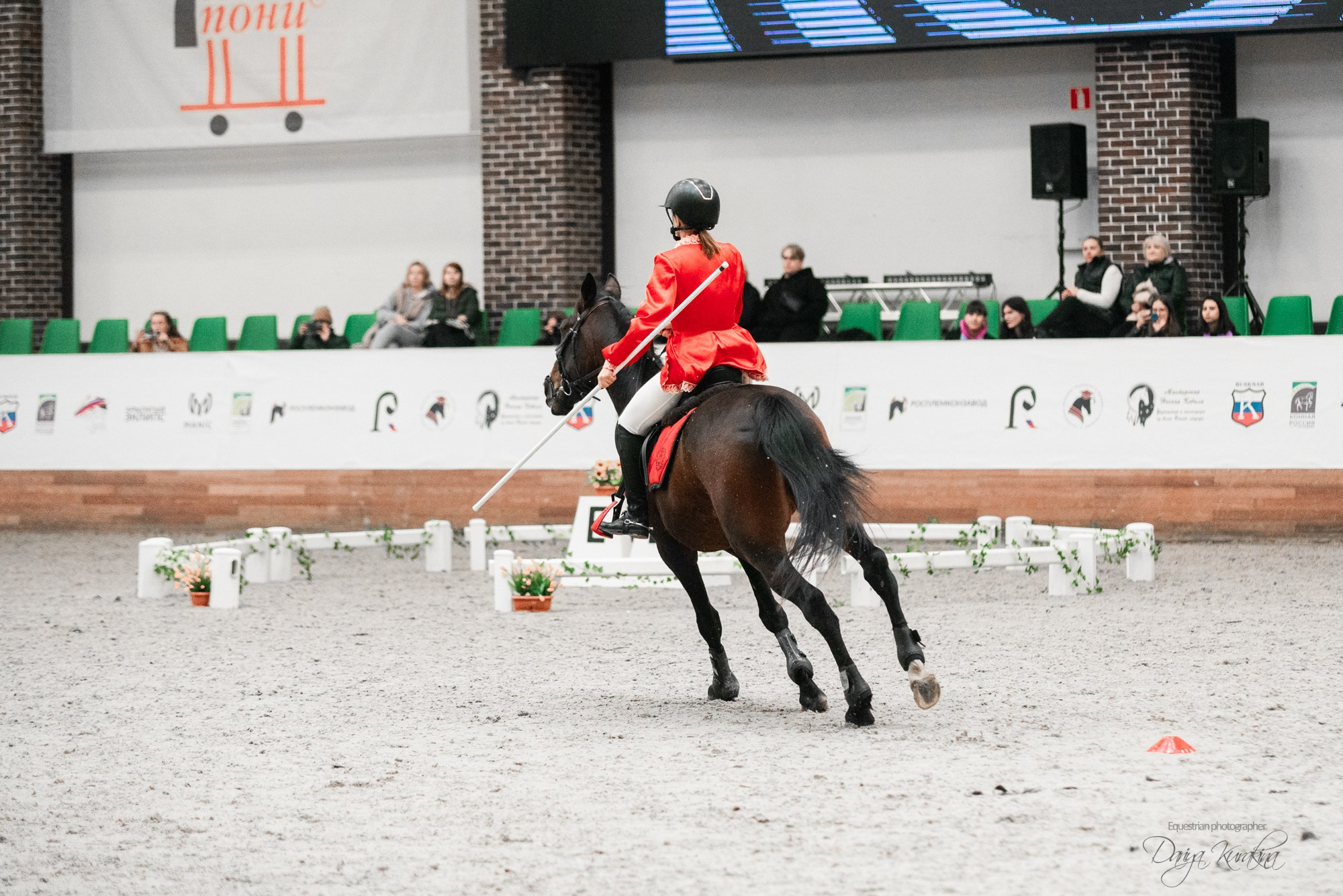 8-я международная выставка Конная Россия. Конный фотограф Куракина Дарья • Фотосессии с лошадьми