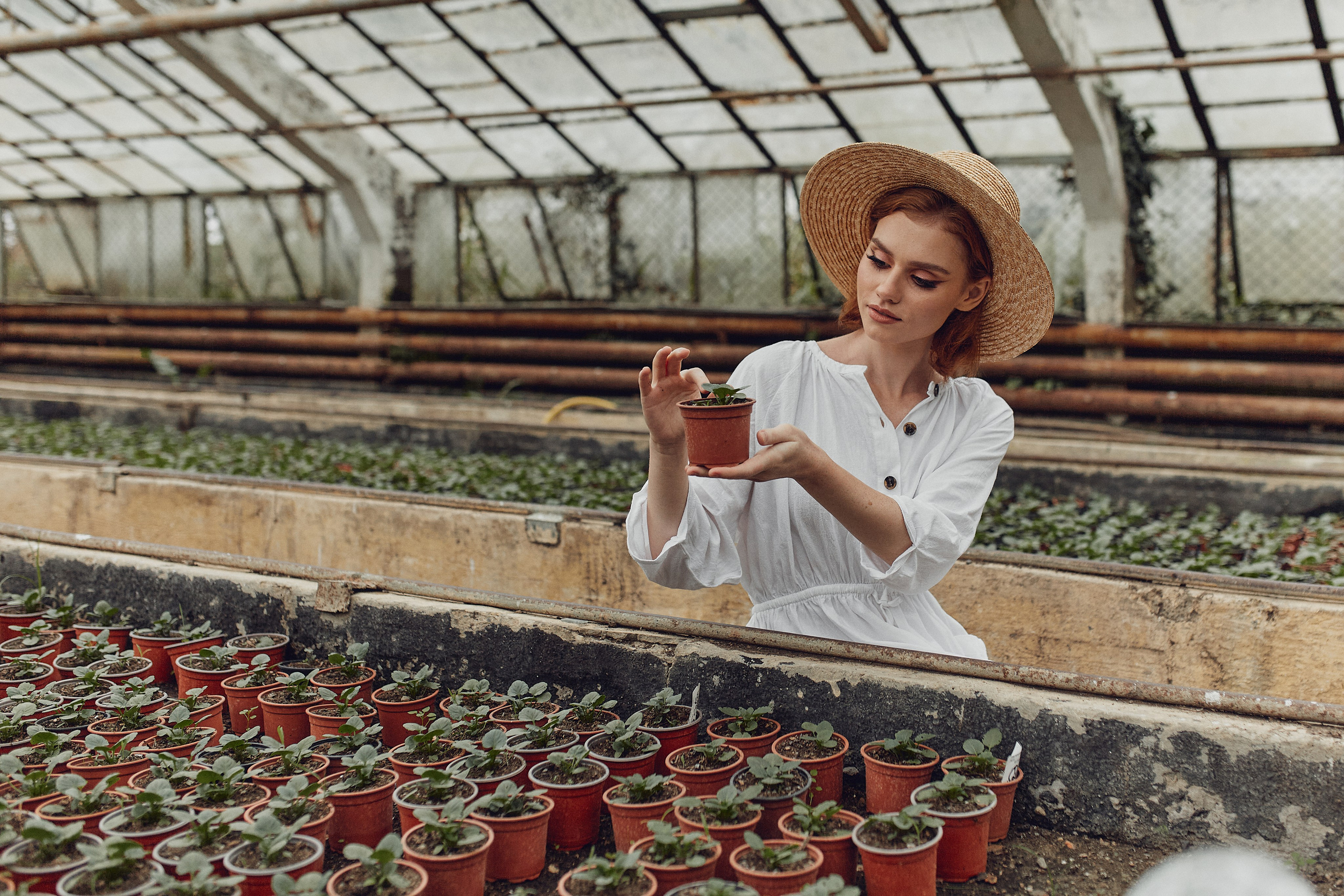 Старая оранжерея