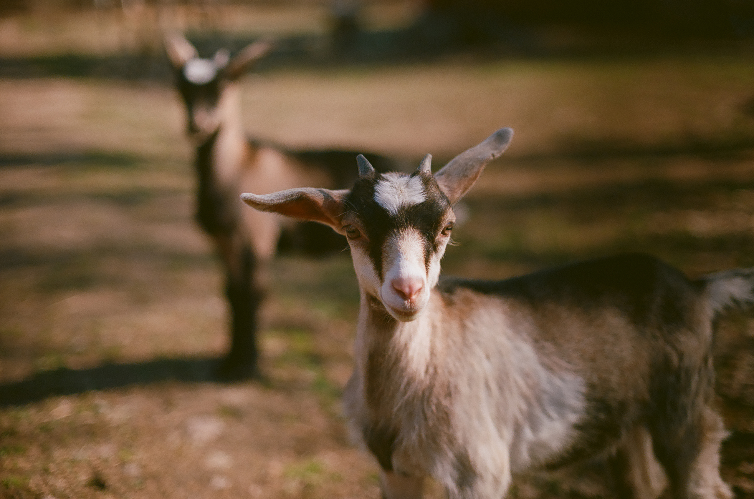 Цвет. Unposed Society Moscow | Фотограф Аникин Станислав