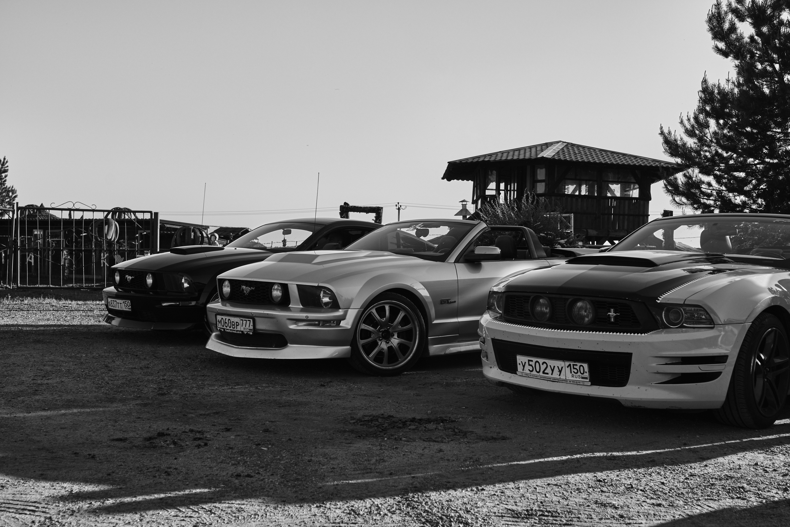 Event photography. Moscow street photography workshops and photo tourism