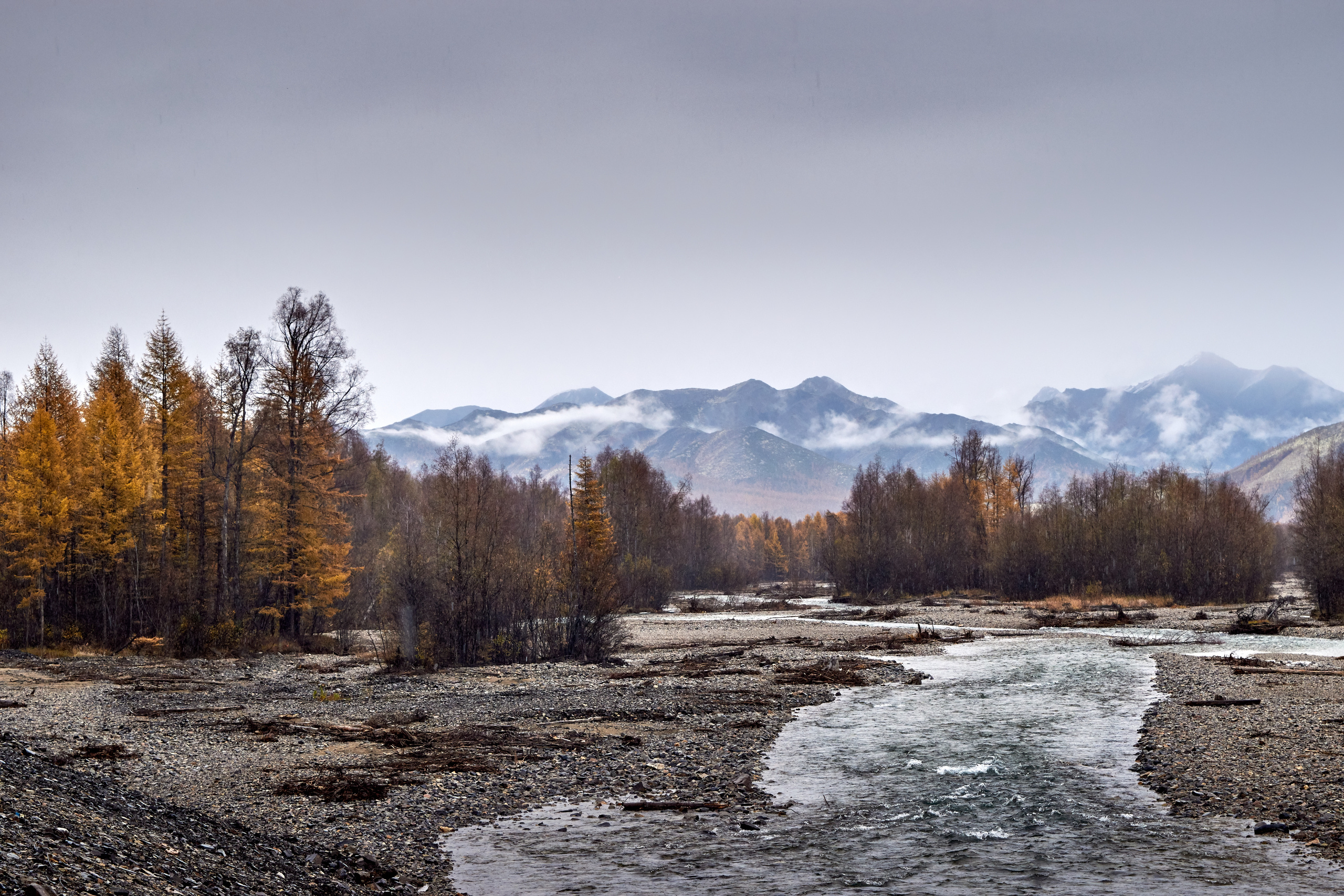 Цвет. Unposed Society Moscow | Фотограф Аникин Станислав