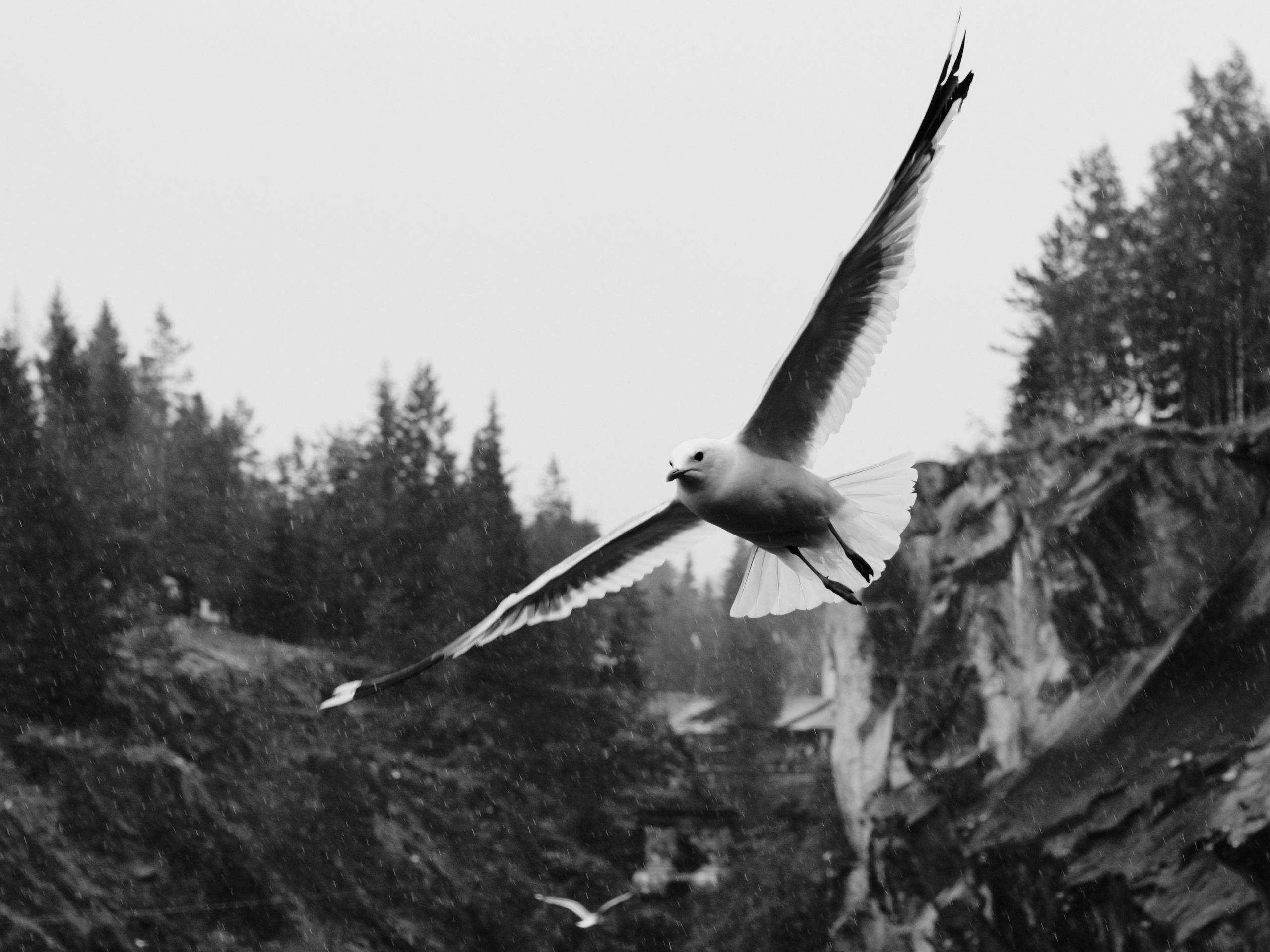 Travel in BW. Moscow street photography workshops and photo tourism