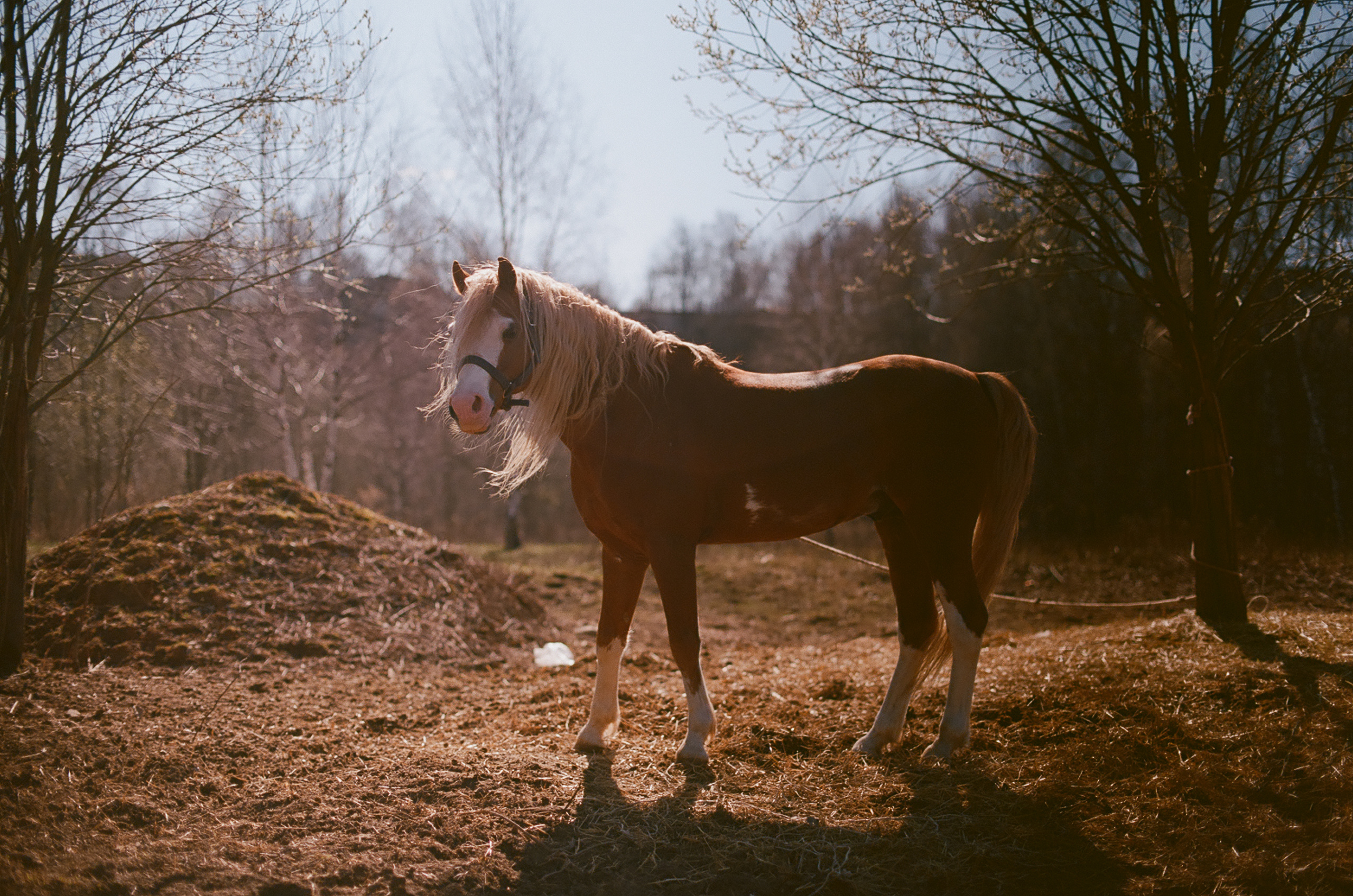 Цвет. Unposed Society Moscow | Фотограф Аникин Станислав