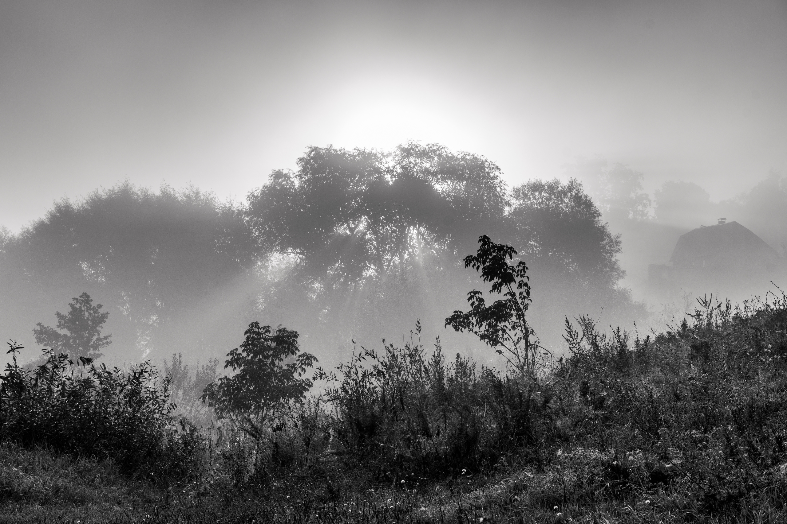 Travel in BW. Moscow street photography workshops and photo tourism