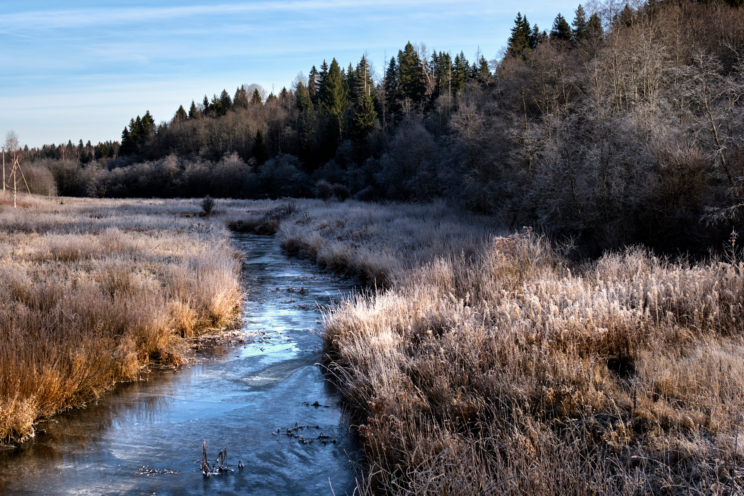 Цвет. Unposed Society Moscow | Фотограф Аникин Станислав