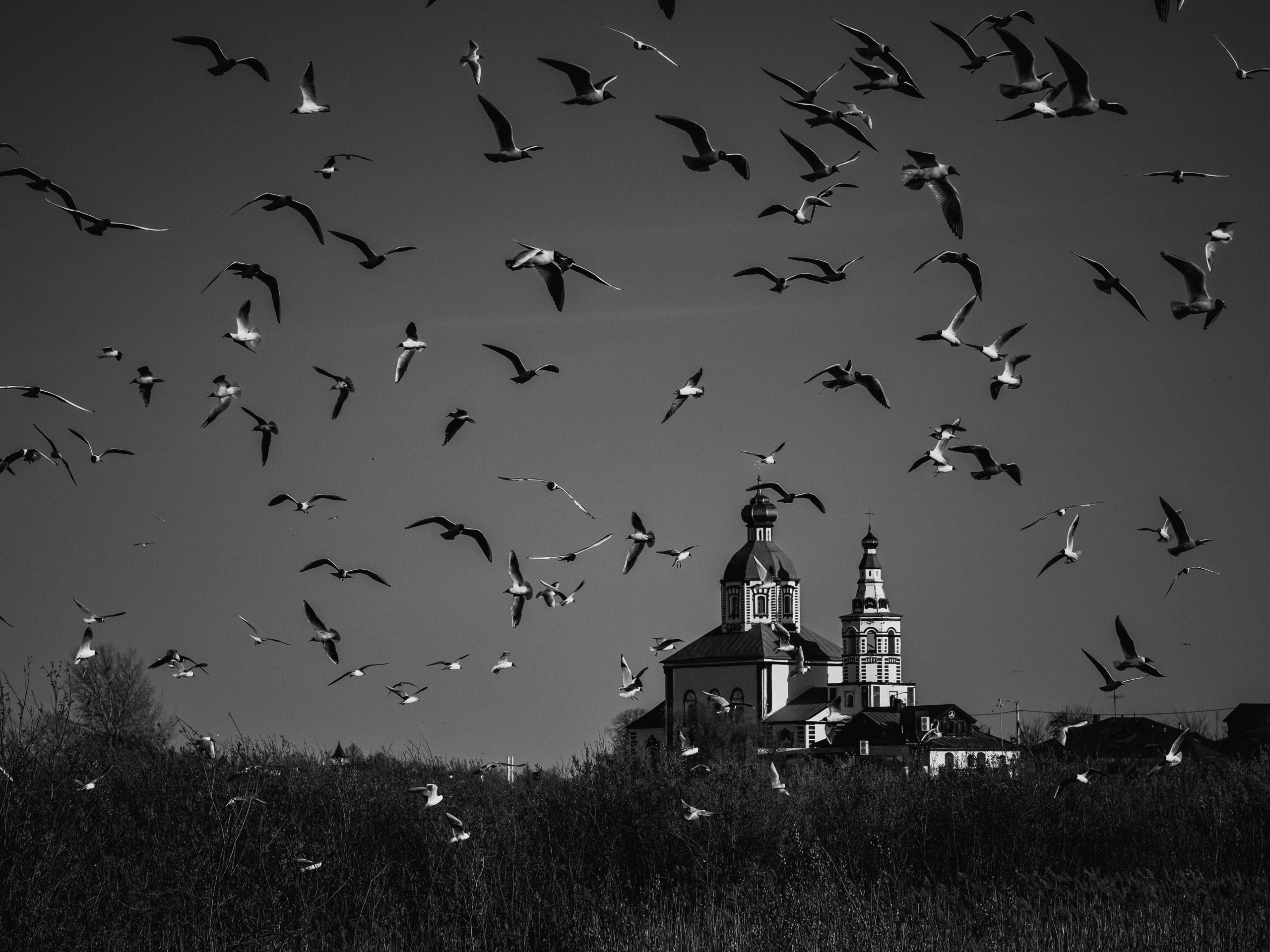 Travel in BW. Moscow street photography workshops and photo tourism