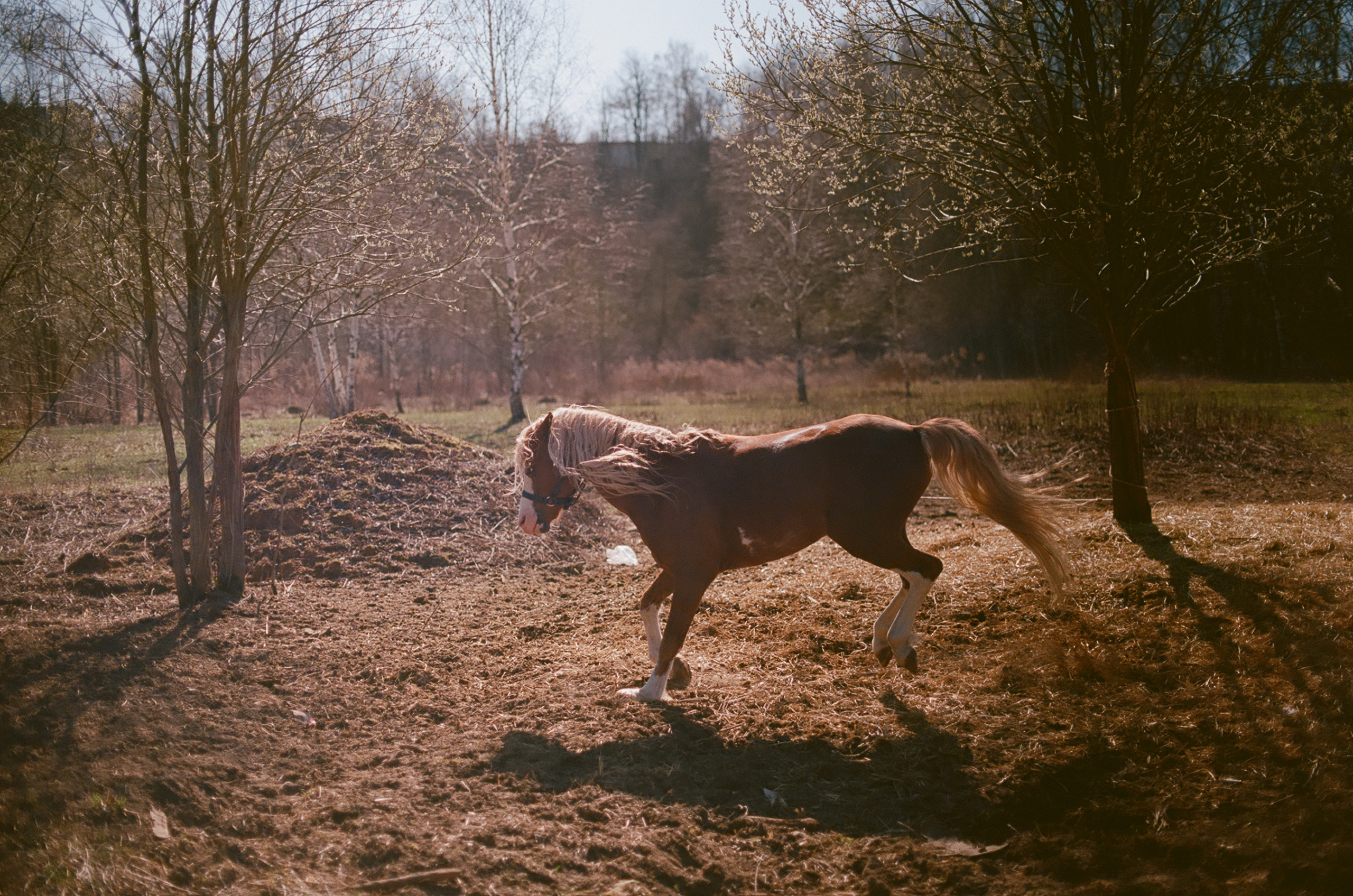 Цвет. Unposed Society Moscow | Фотограф Аникин Станислав