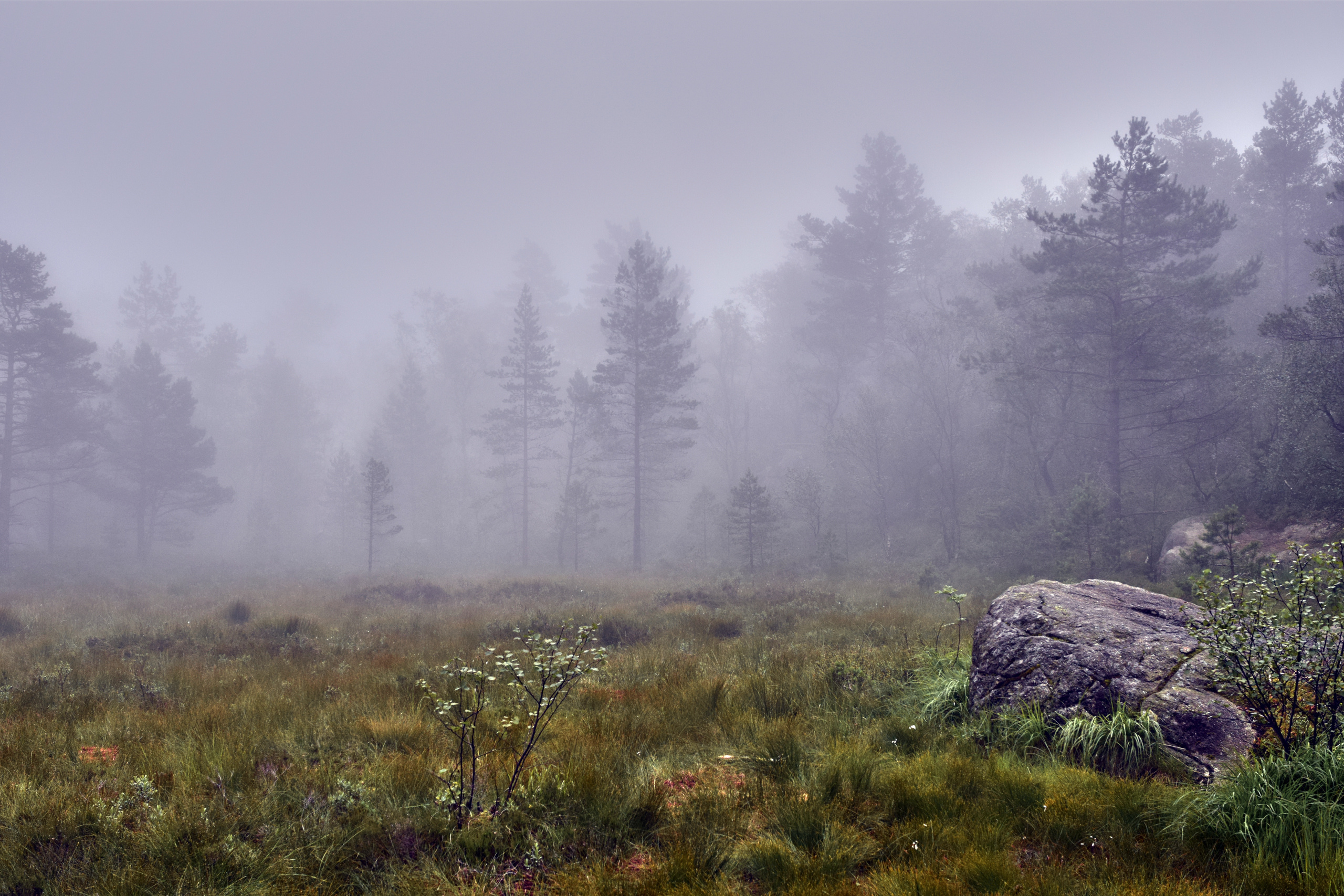 Цвет. Unposed Society Moscow | Фотограф Аникин Станислав