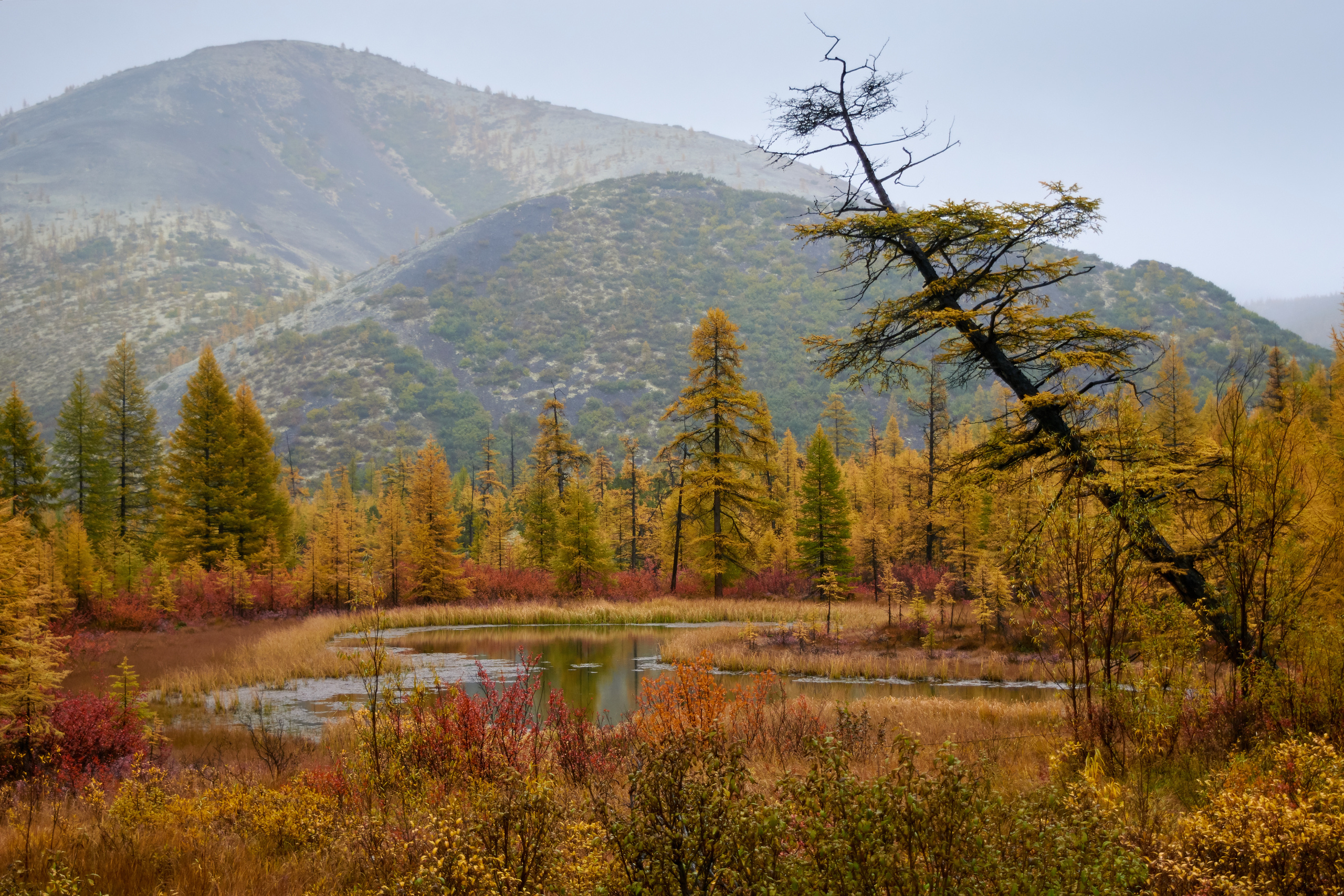 Цвет. Unposed Society Moscow | Фотограф Аникин Станислав
