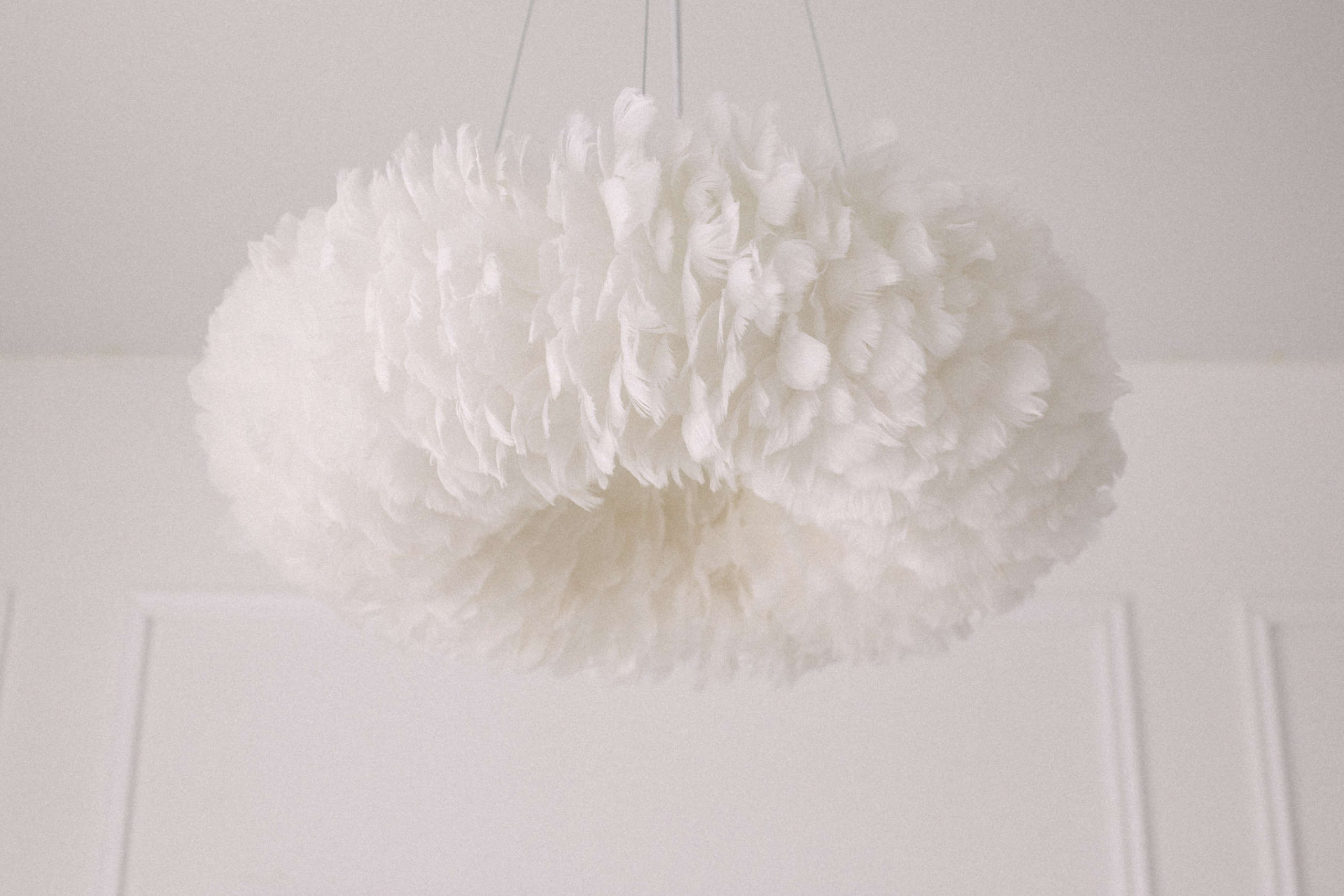 Зоя, Дима, Вика. Свадебный и семейный фотограф в Таганроге и Ростове Руднева Анастасия