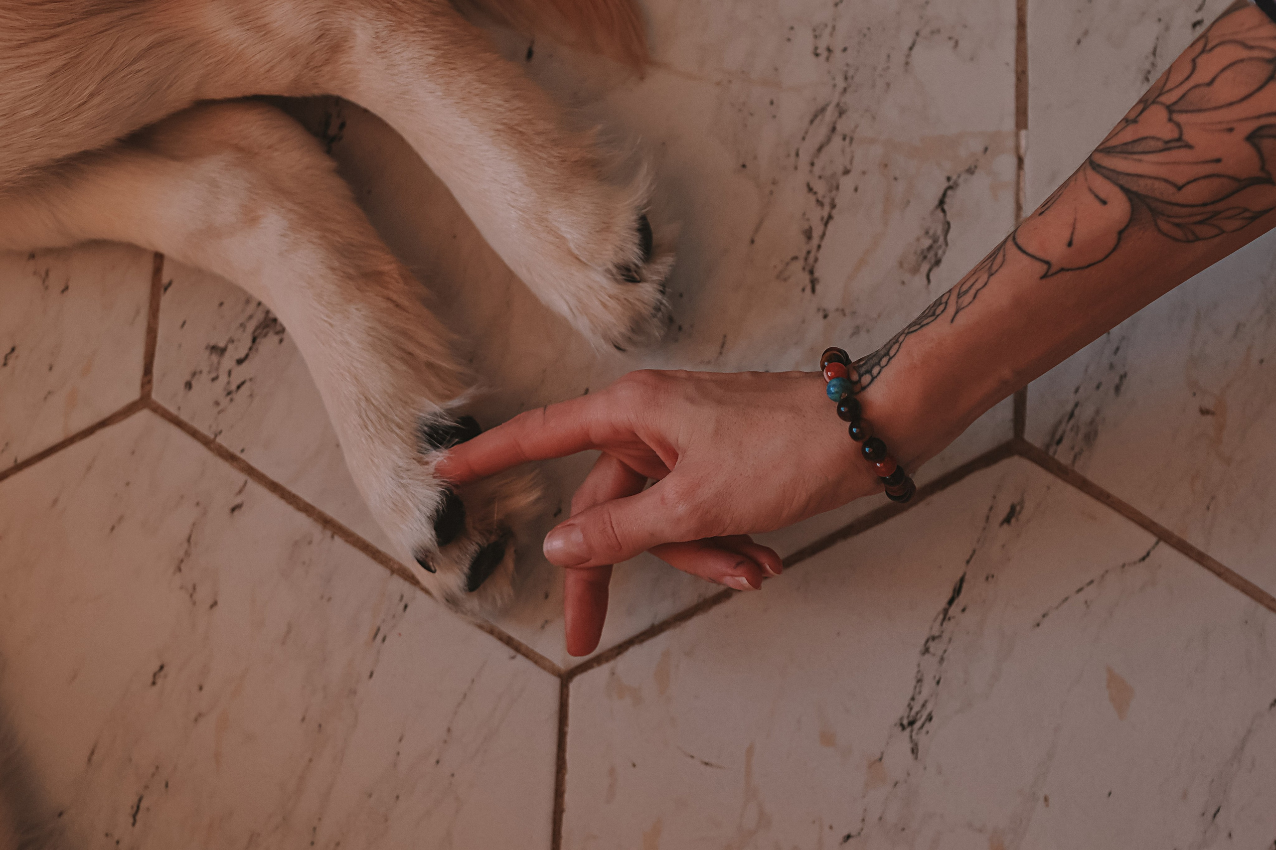 Наська (Чусовой). Семейный фотограф Тюмень, фотограф на роды Салмина Мария