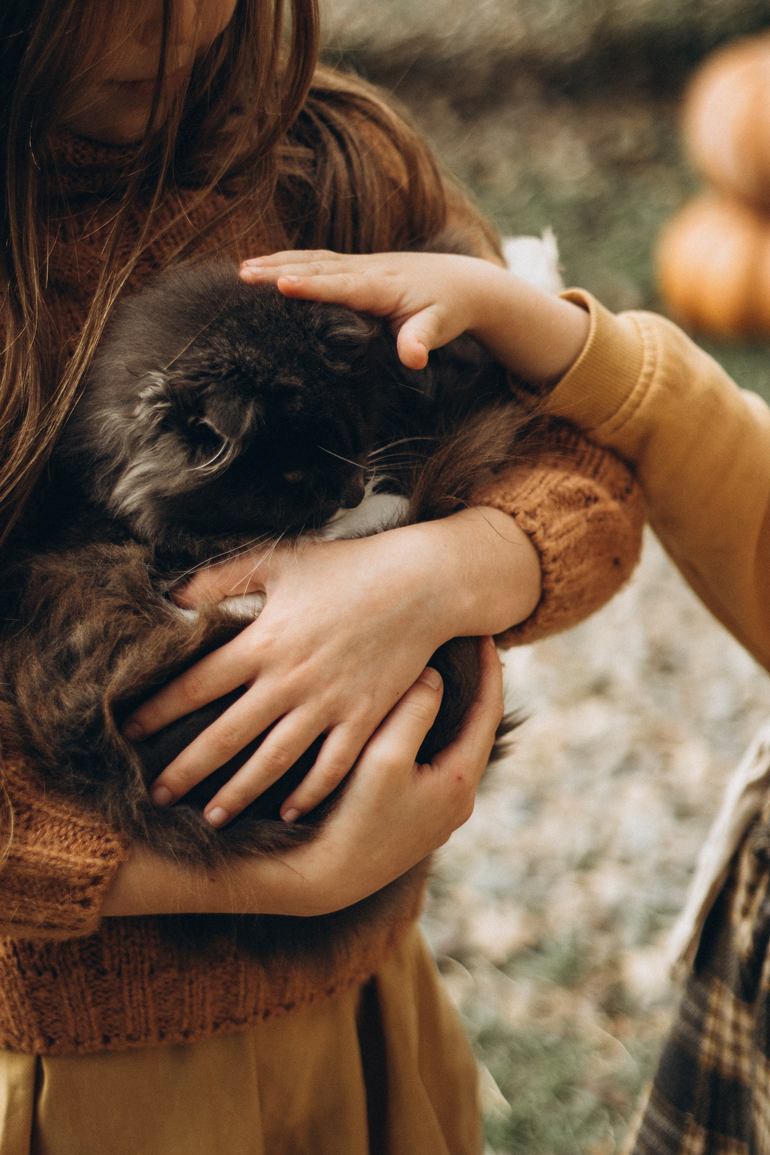 Дачная история. Семейный фотограф Наталия Демченко, Краснодар