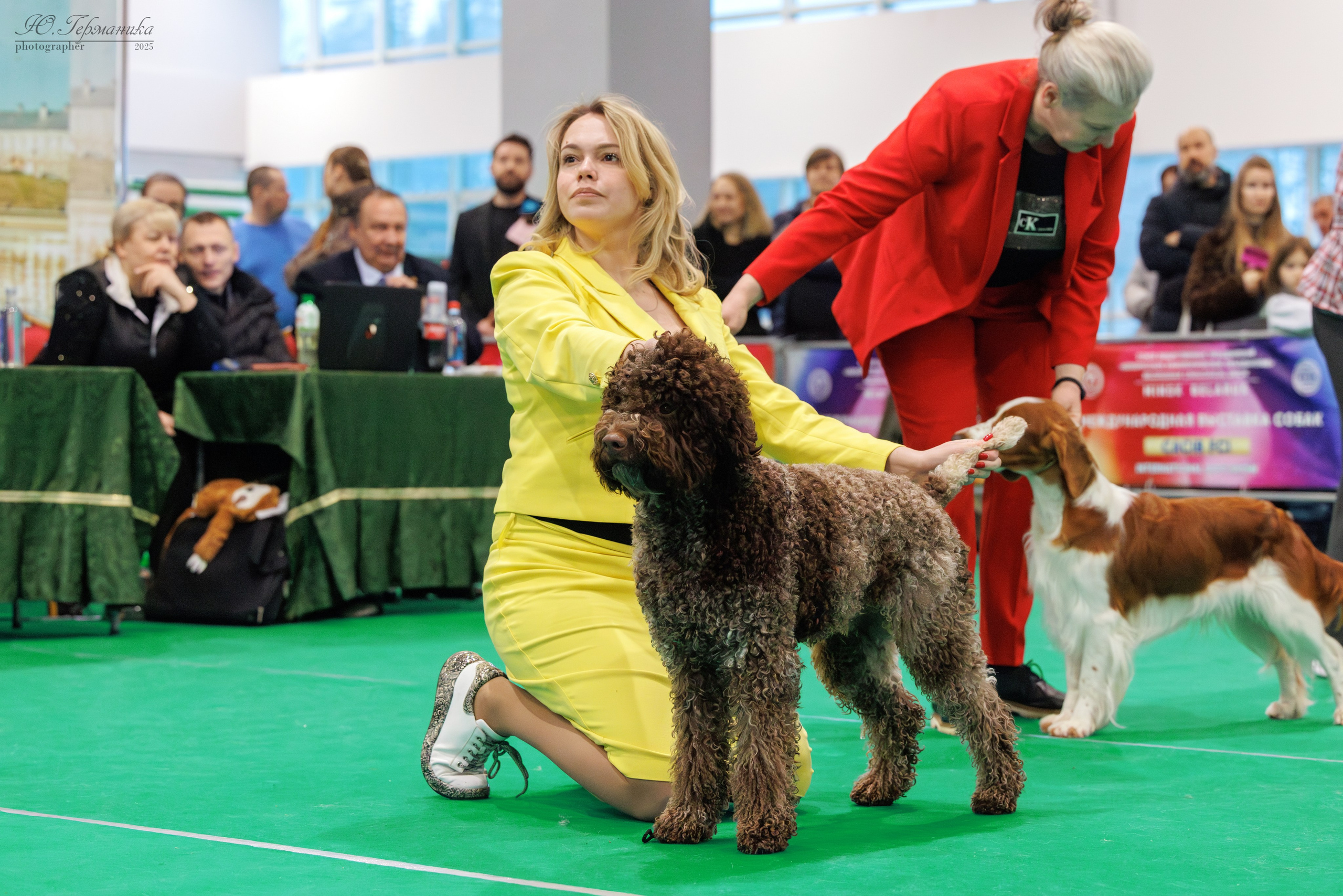 Минск 1-2.03.2025. Фотограф-анималист Юлия Германика