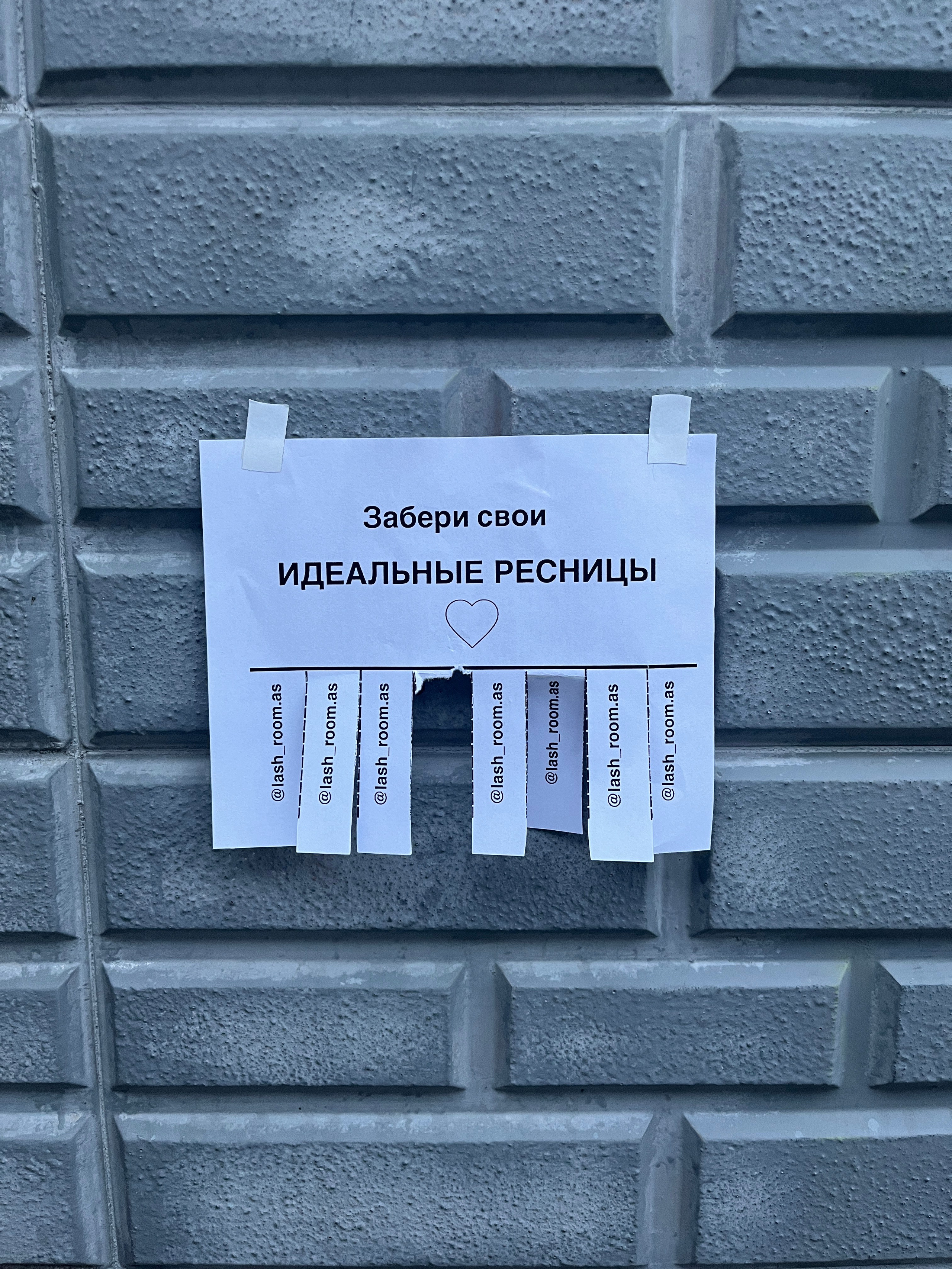 Content. Фотограф Москва