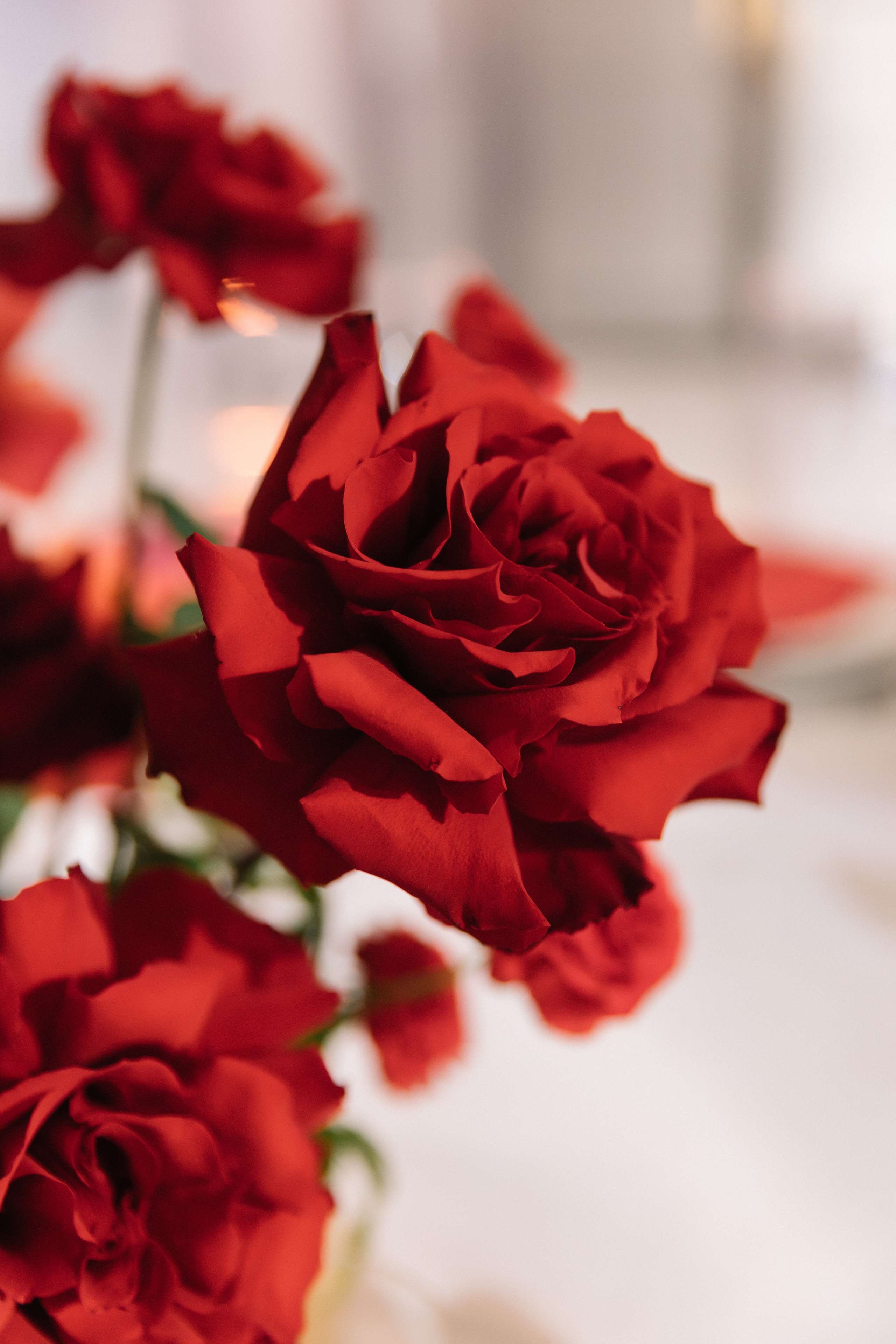 Берега. История с нотками Испании. Свадебный фотограф в Краснодаре Булатова Наталия