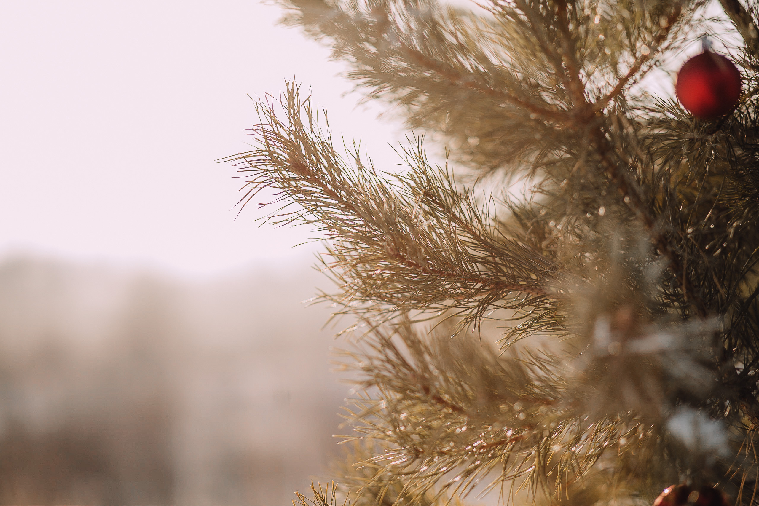 Зимняя семейная сказка. Фотограф в Кумертау Уфа Мелеуз Салават Александра Сапрыкина