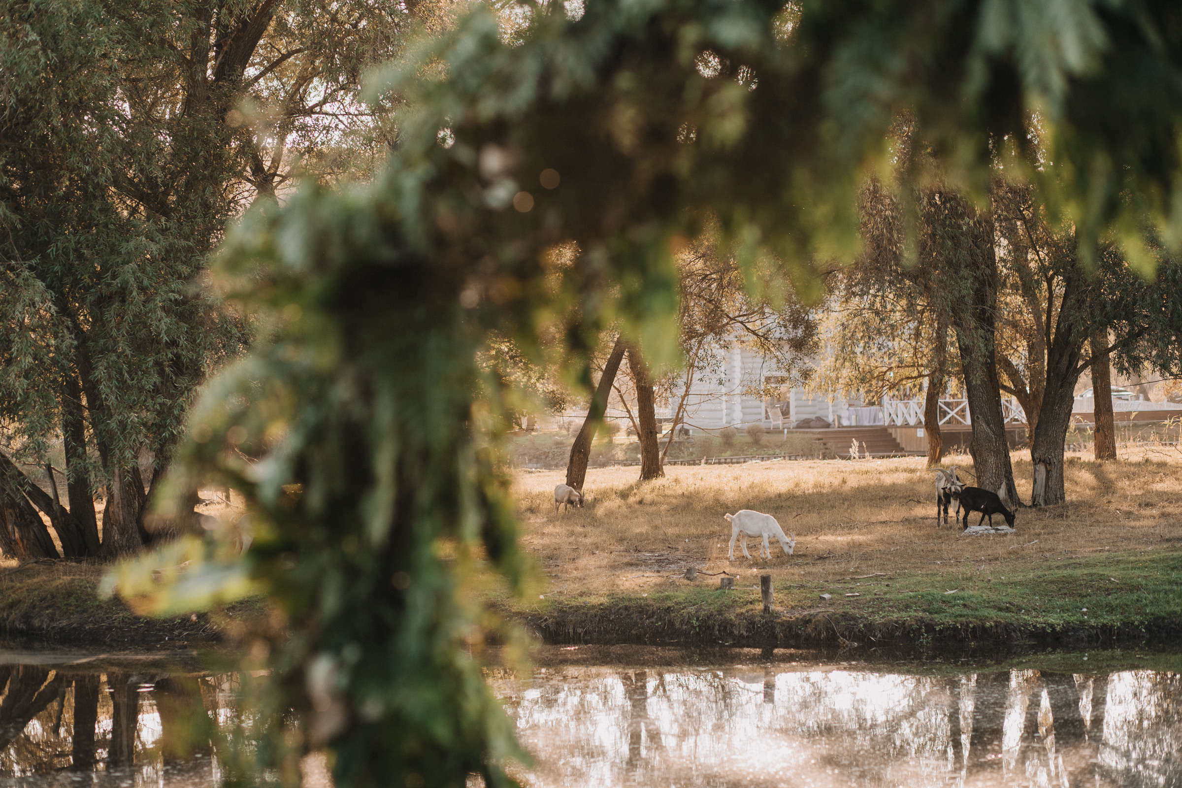 Григорий + Инна. Семейный фотограф в Белгороде Аня Никифорова