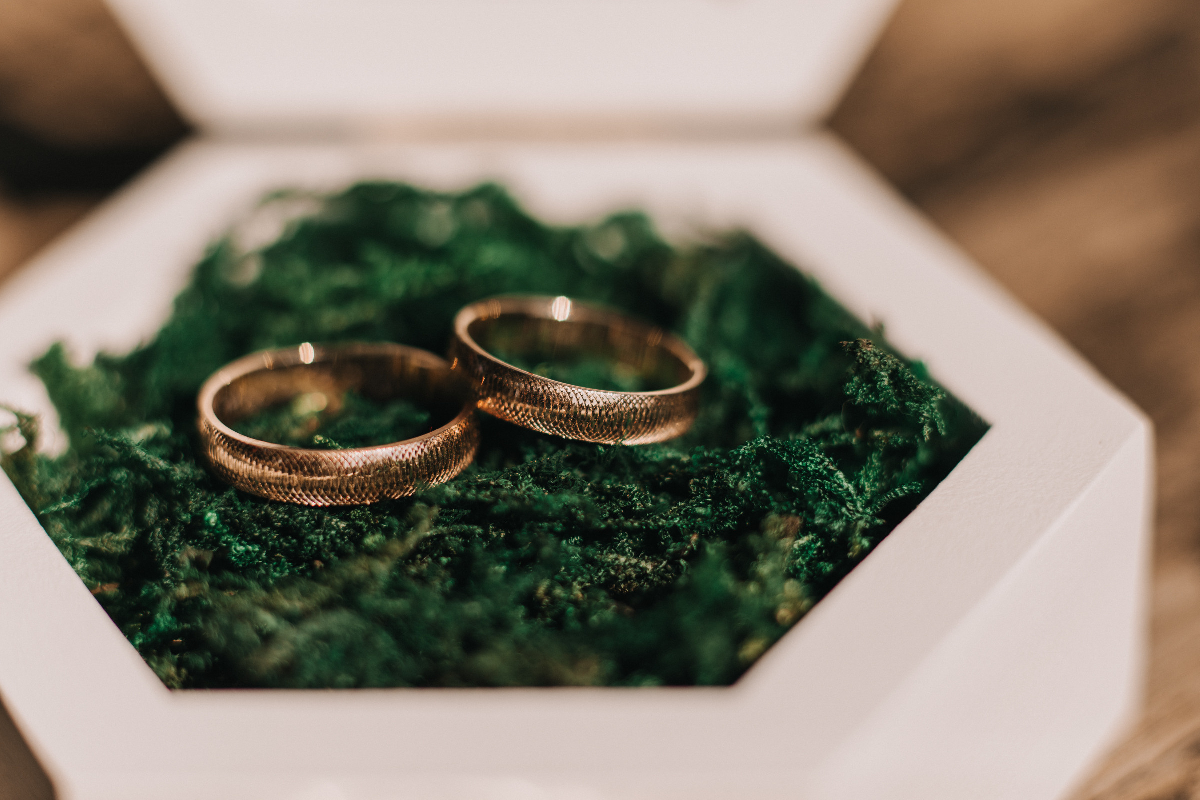 Григорий + Инна. Семейный фотограф в Белгороде Аня Никифорова