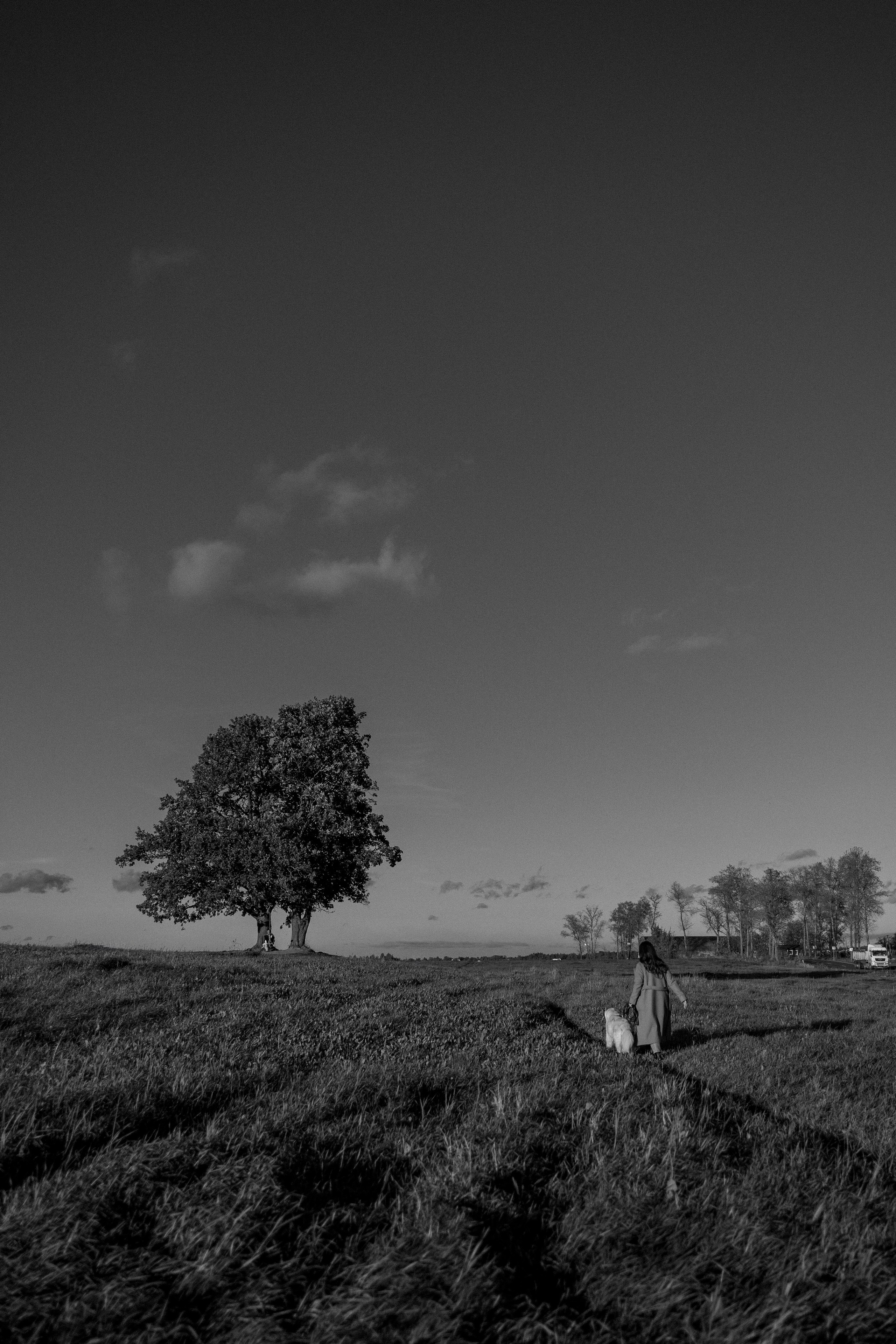 Лера и Скай. Фотограф — Анималист | Санкт-Петербург