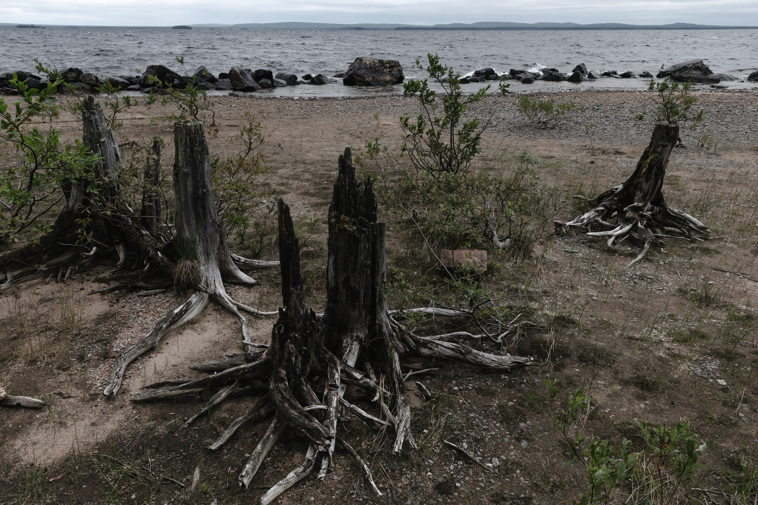 Оз. Колвицкое. Фотографии