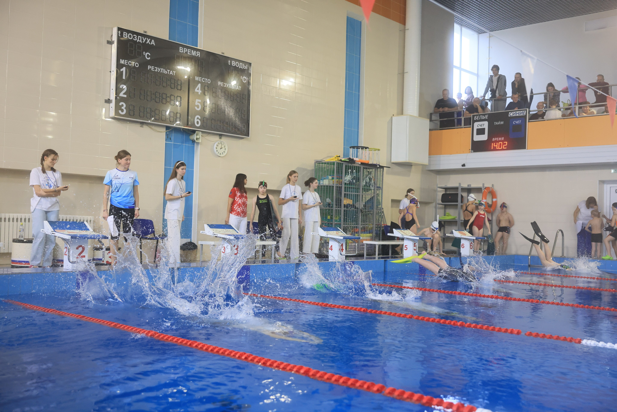 Плавание в ластах (разные годы, более 10 репортажей выборка пополняемая). Фотограф в Туле Крупский АнДРей. Фотостудия «КАДР71» в Туле