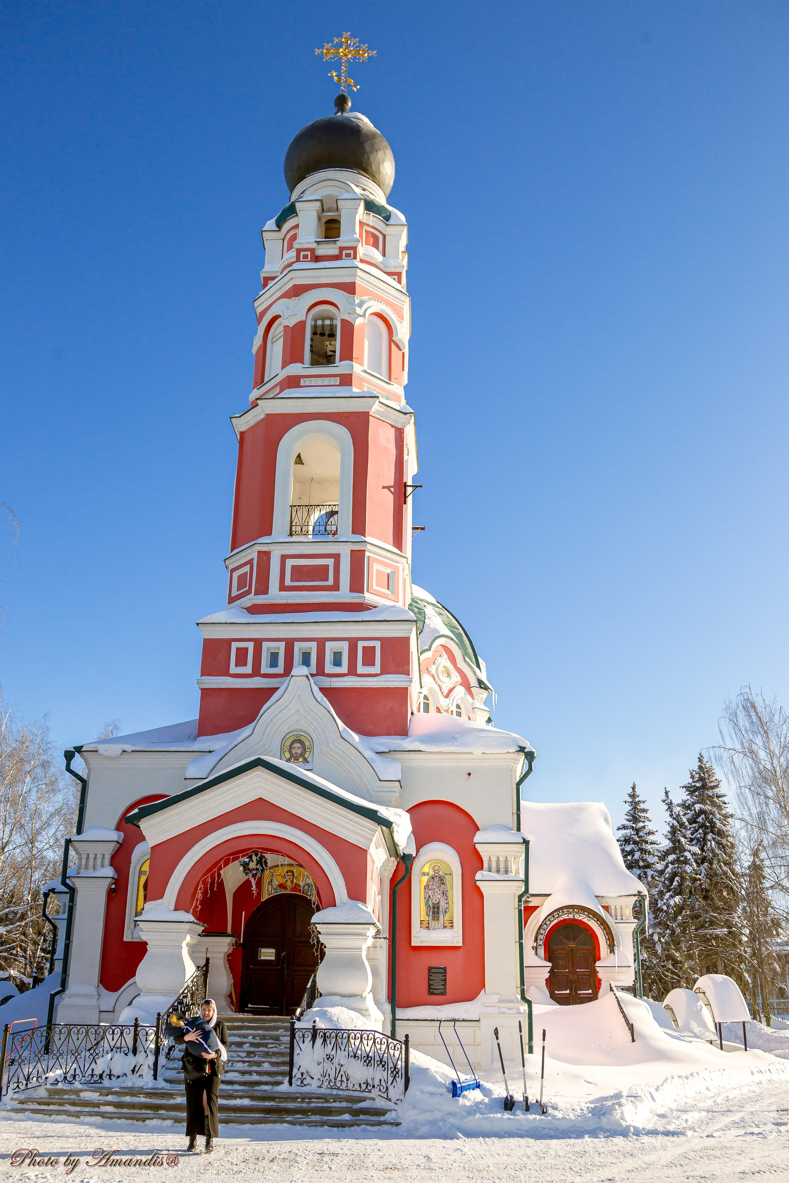 Крещение в с. Константиново (январь 2026). Репортажная съемка в Москве и области. Анималистика