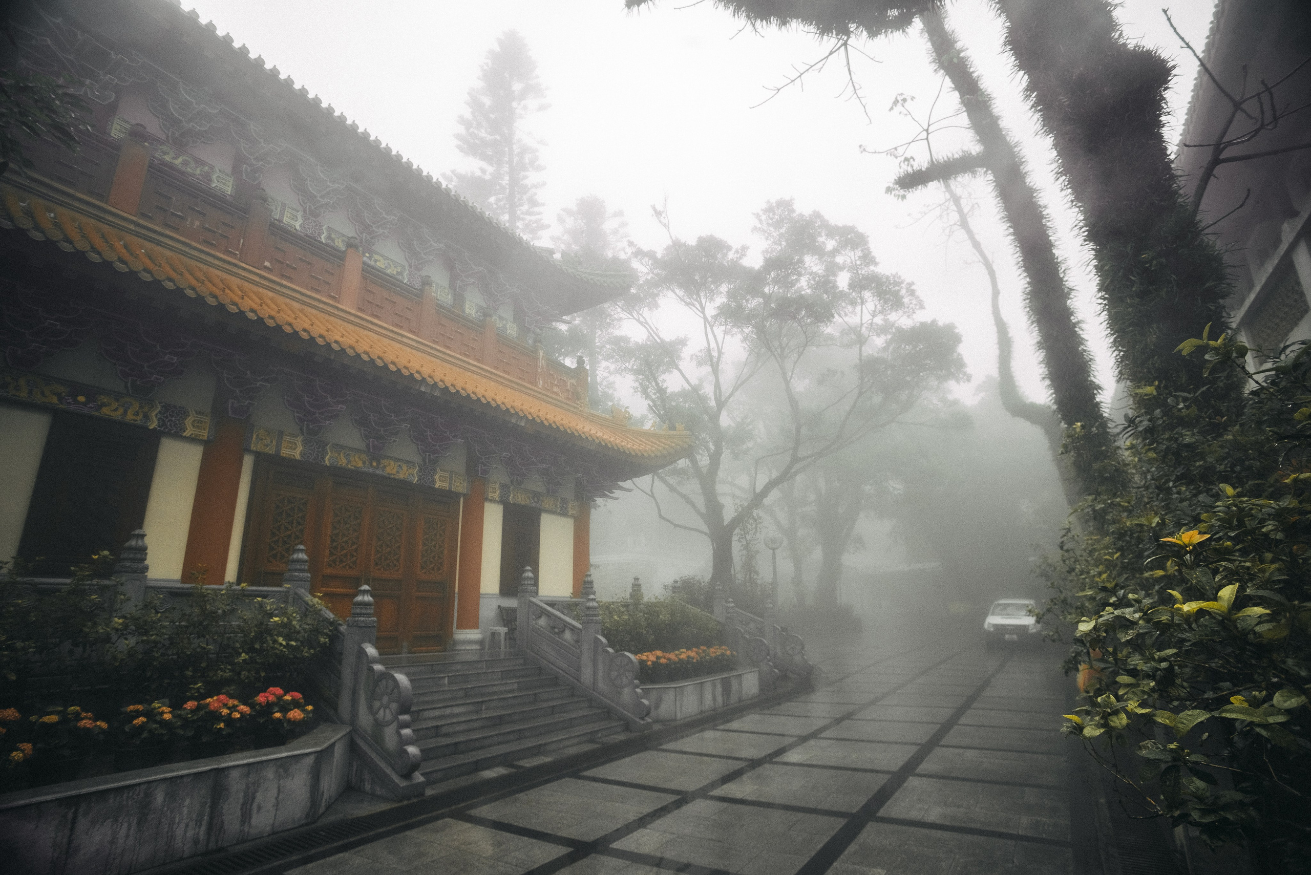 Уличная фотография. Эд Тихонов. Городской фотограф