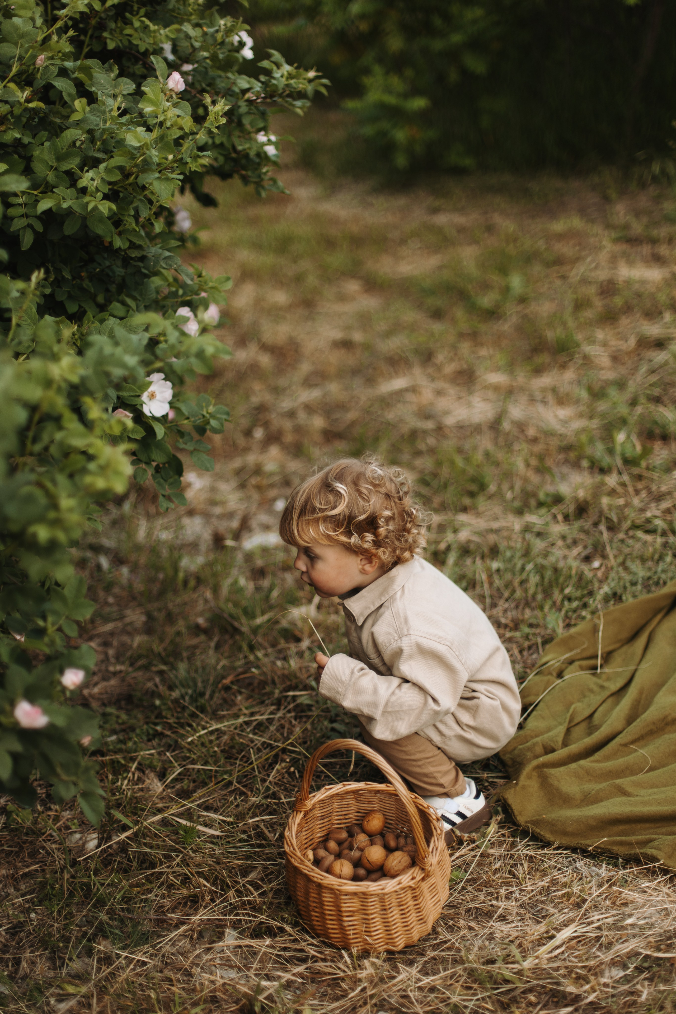 Summer Picnic. Фотограф на Юге России