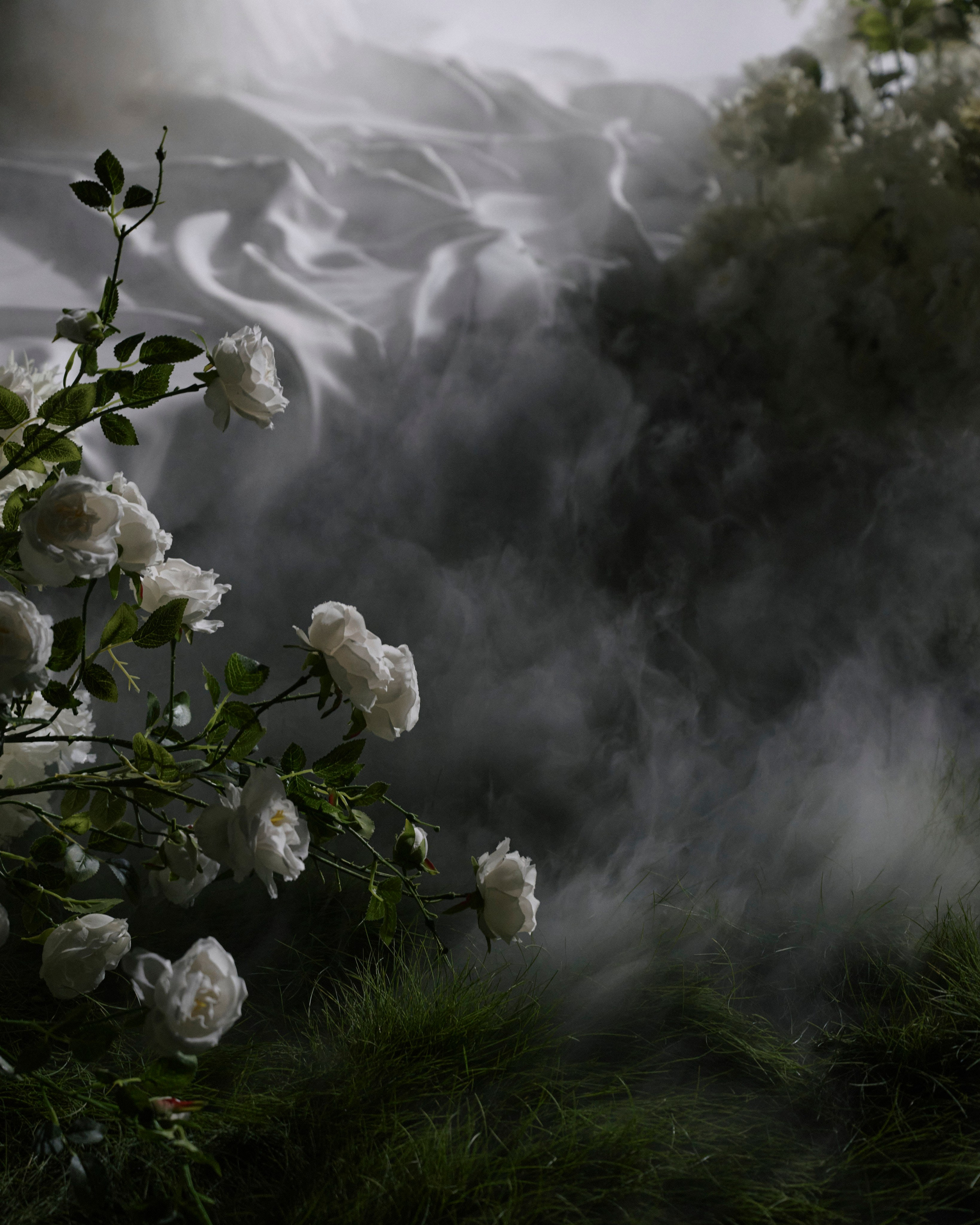 Влад и Катя. Фотограф Тим Бритнев