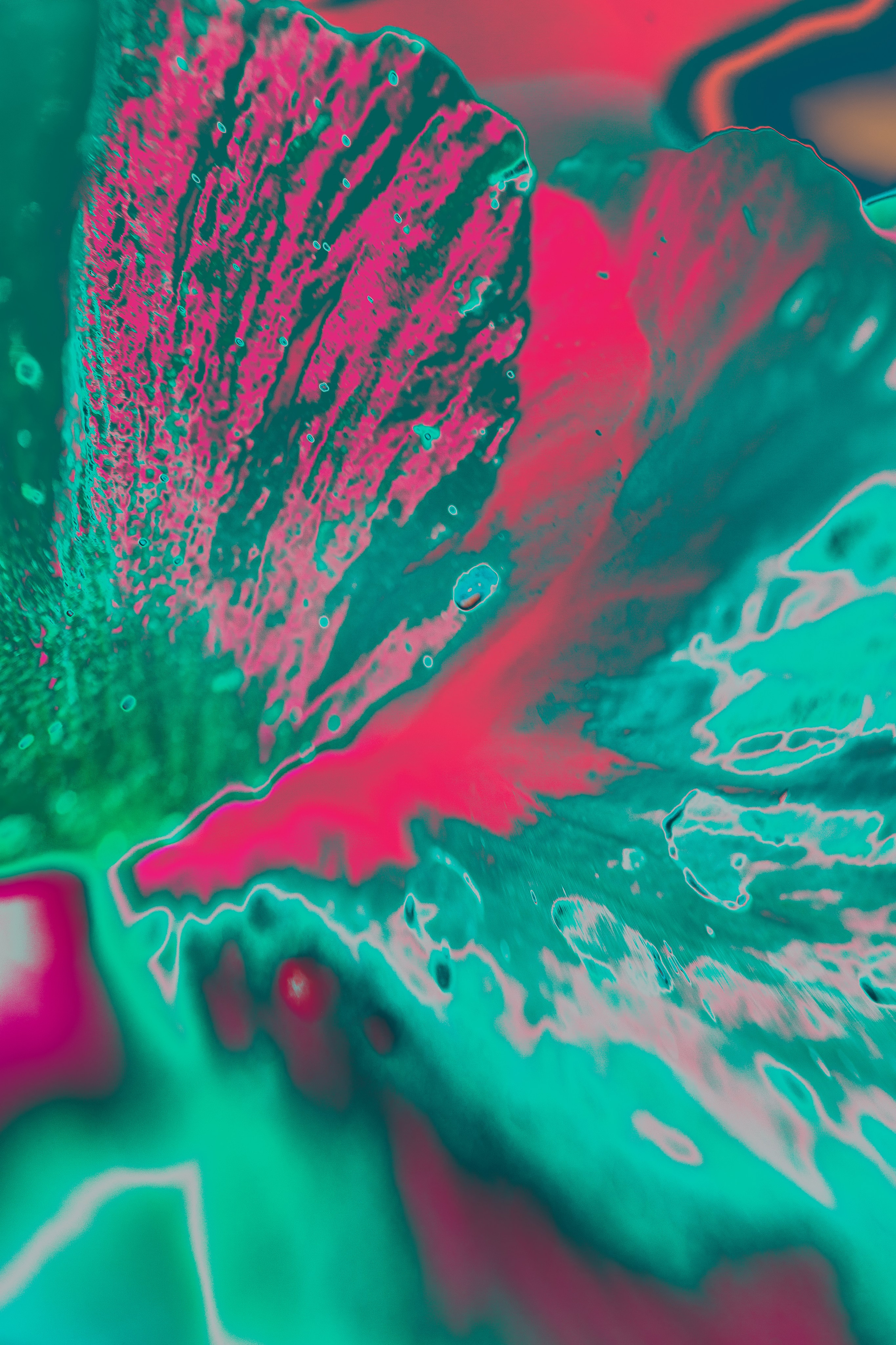 NON-EXISTENT FLOWERS. Фотограф Евгений Чащихин RGB АРХИТЕКТОР в Перми