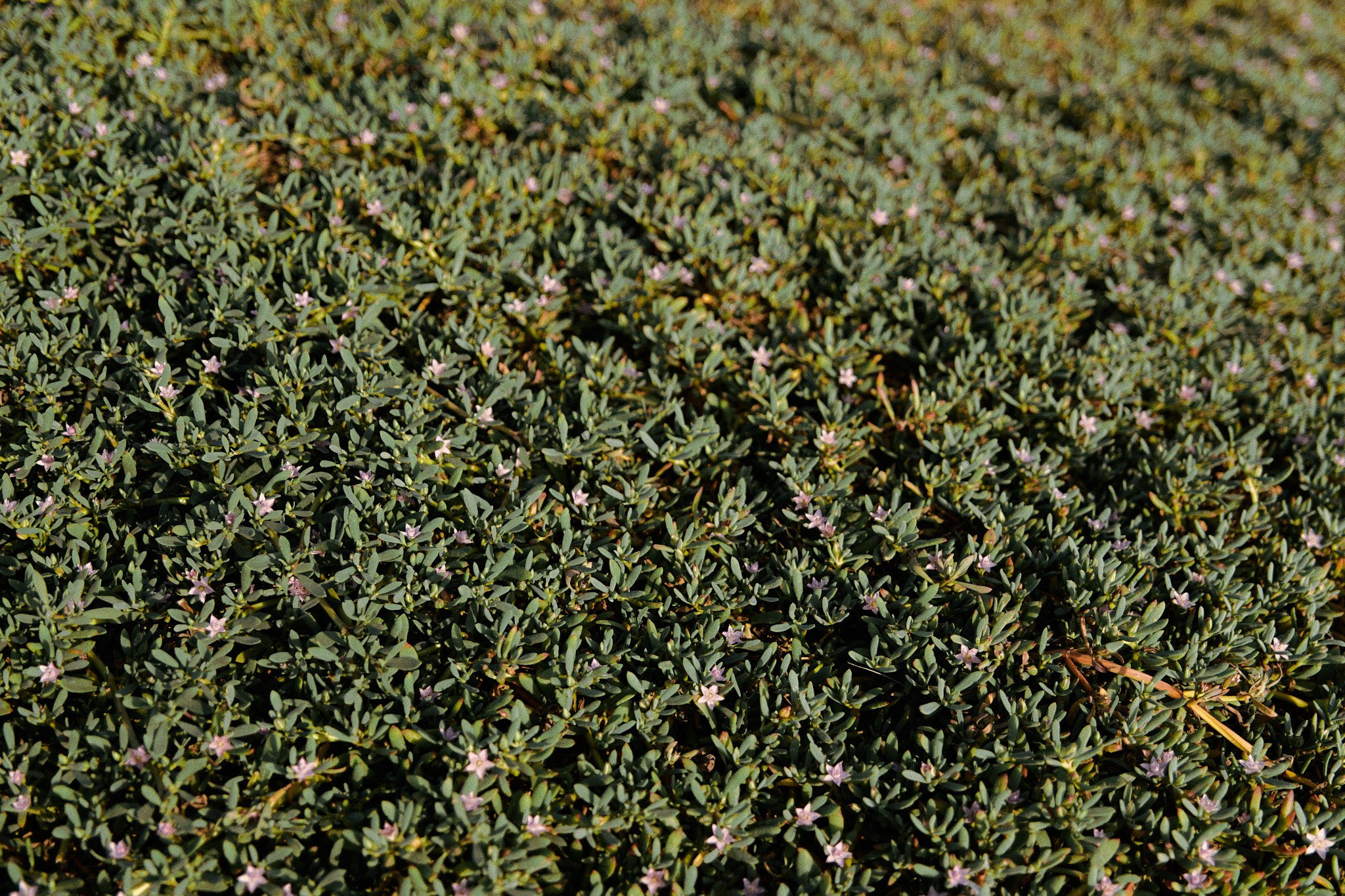 Улица горизонтальная. Jorgis — фотограф в Хургаде / обучение фотографии