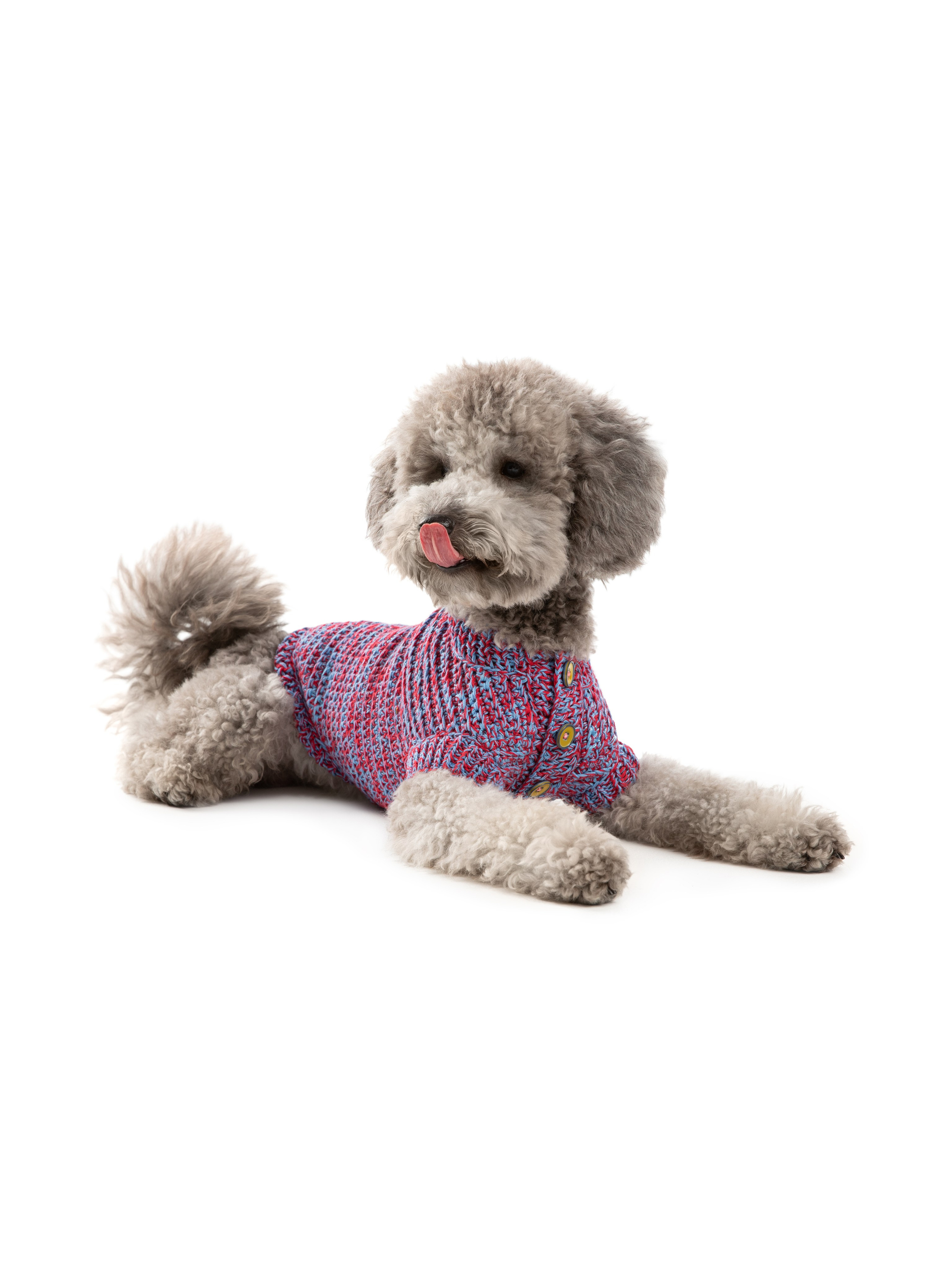 Одежда для собак Pet Subject. Олег Дмитриев