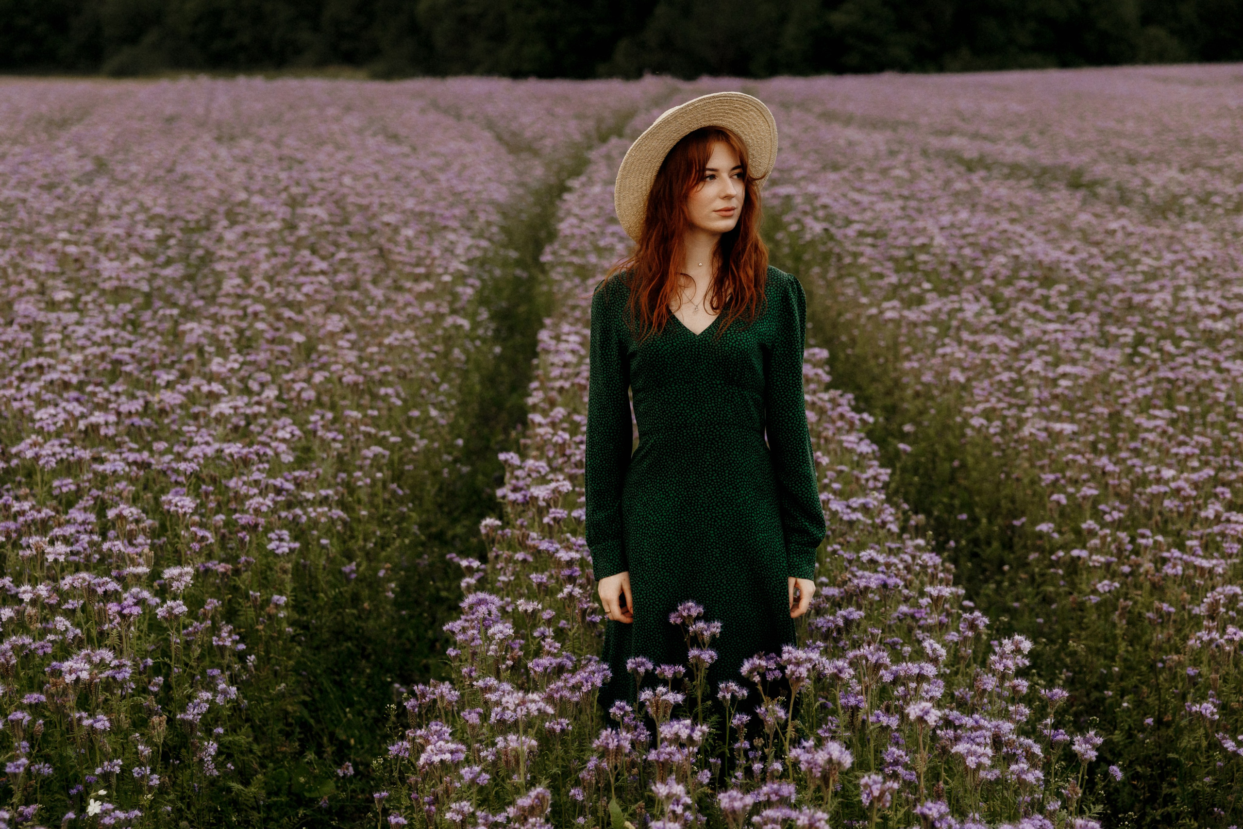 Фотосессия в цветочном поле под витебском